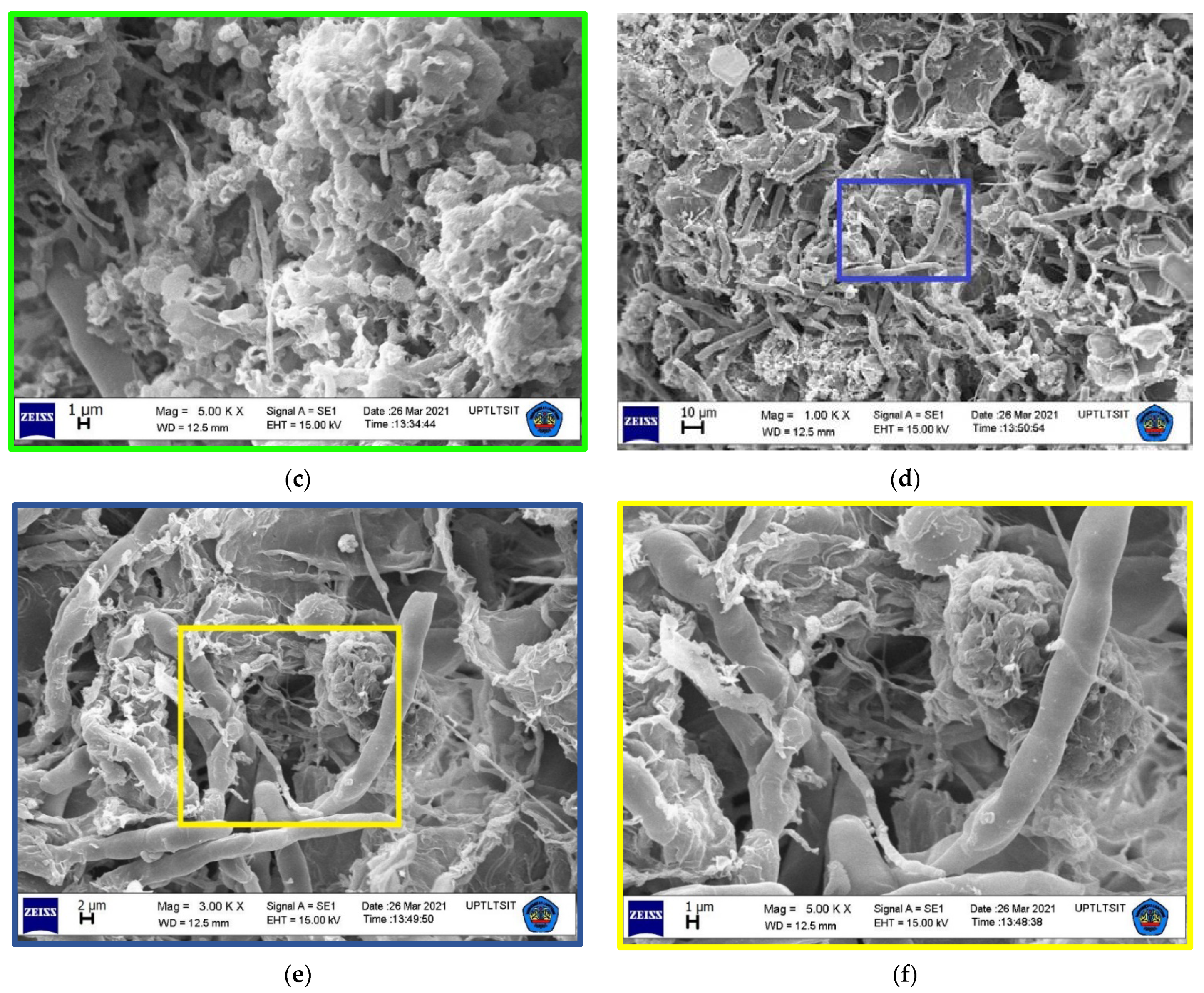 Atmosphere 13 00633 g004b