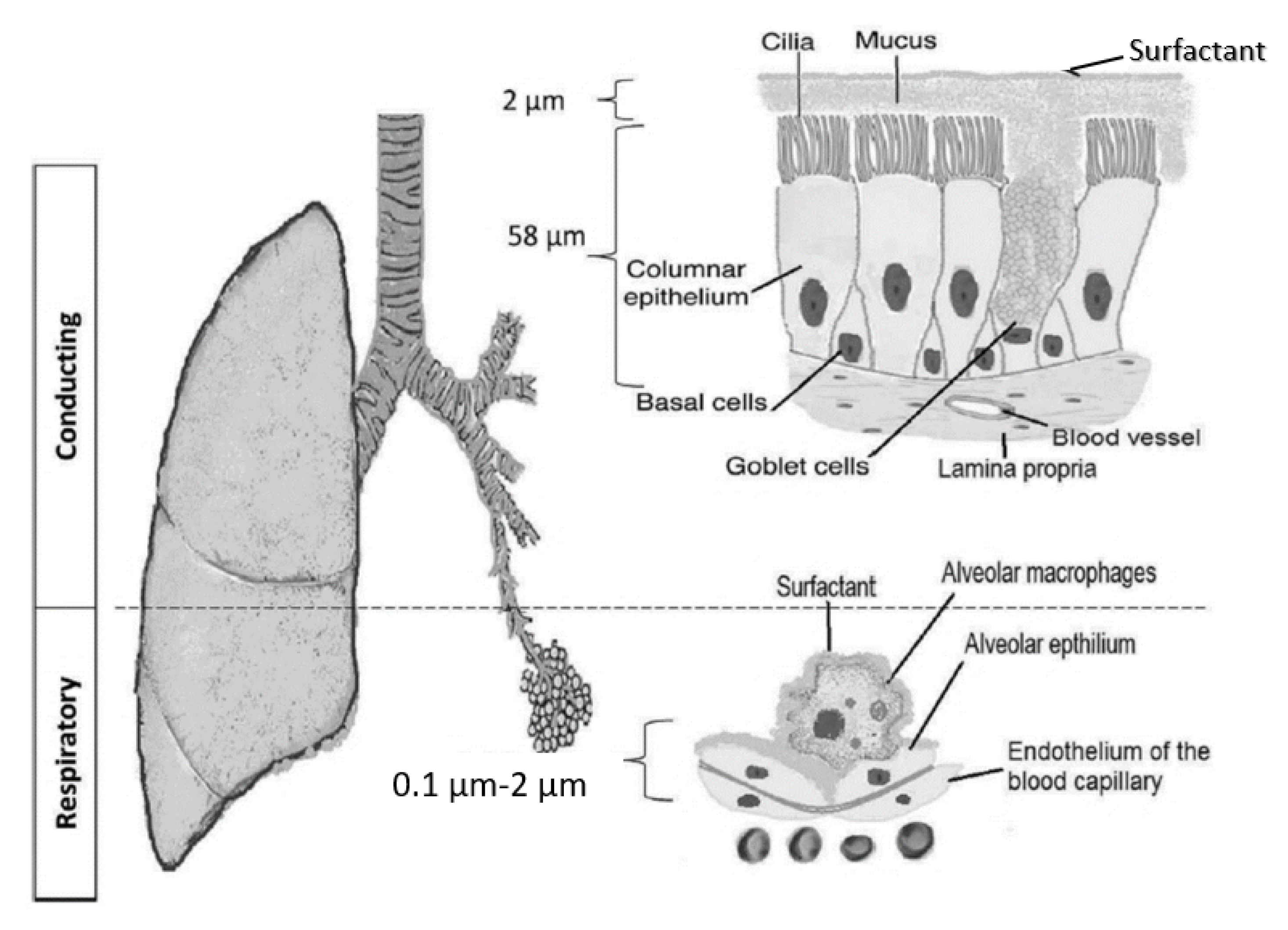 Atmosphere 13 00726 g001