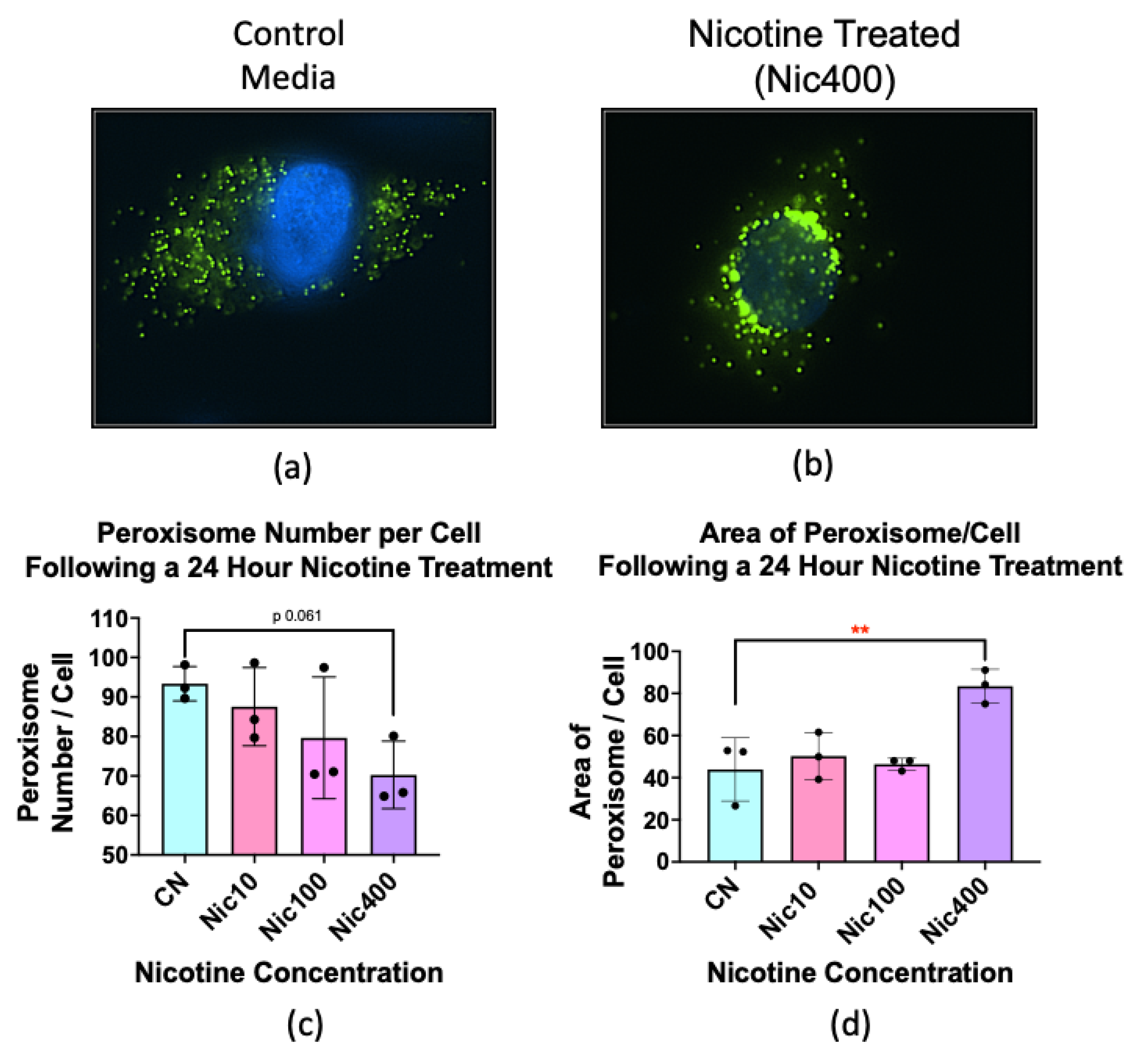 Atmosphere 13 00810 g006