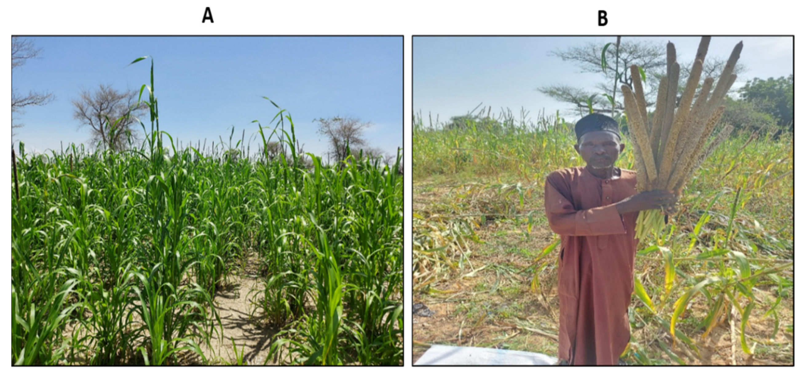 Atmosphere 13 00997 g003