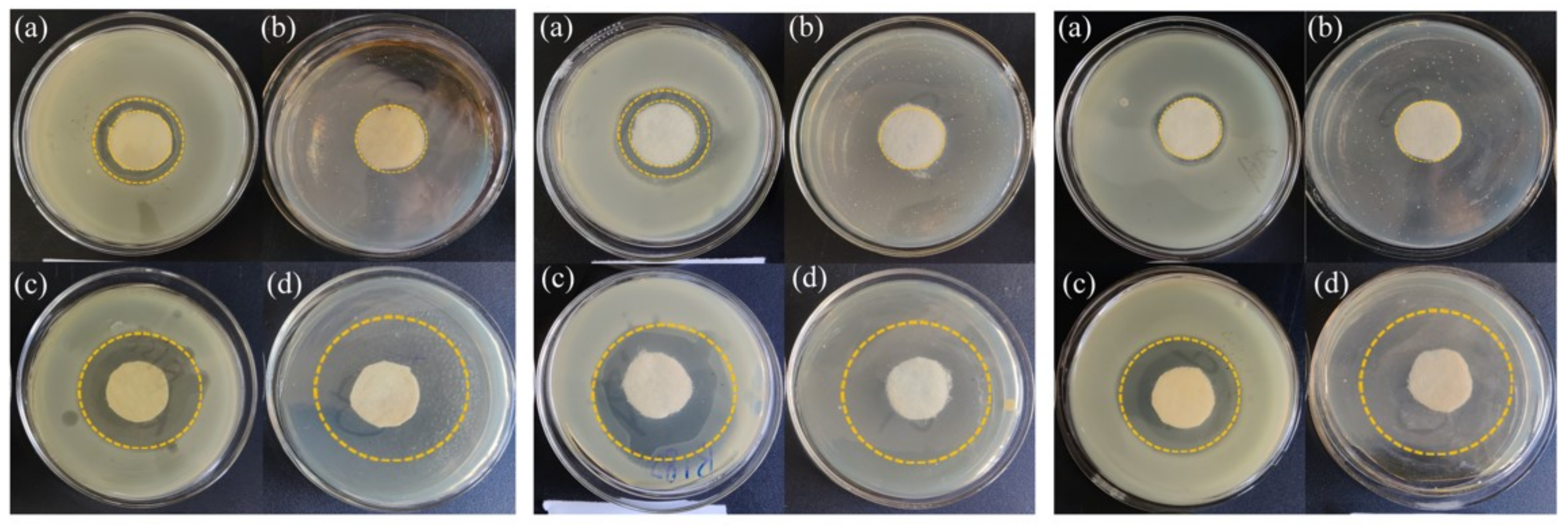 Atmosphere 13 01104 g004
