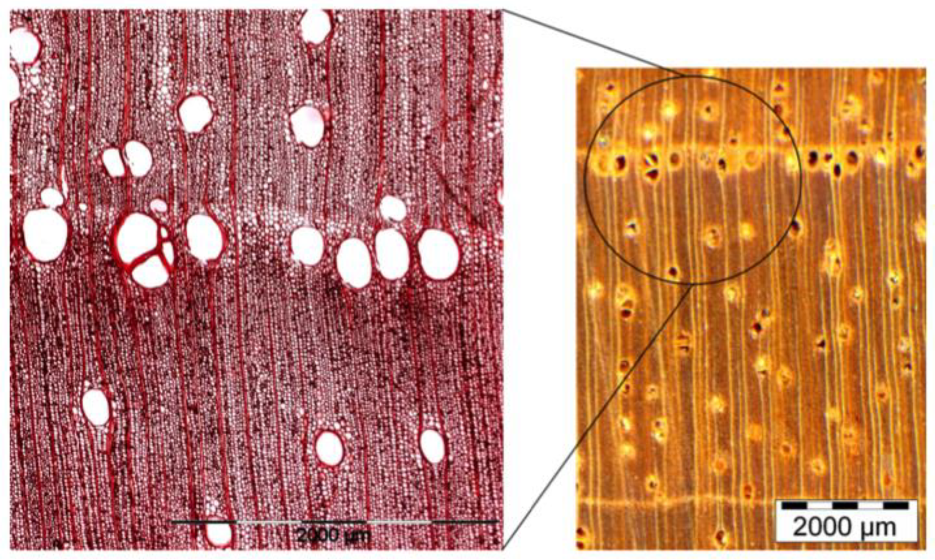 Atmosphere 13 01119 g003