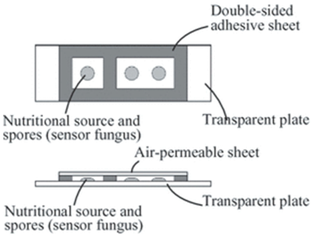 Atmosphere 13 01272 i001
