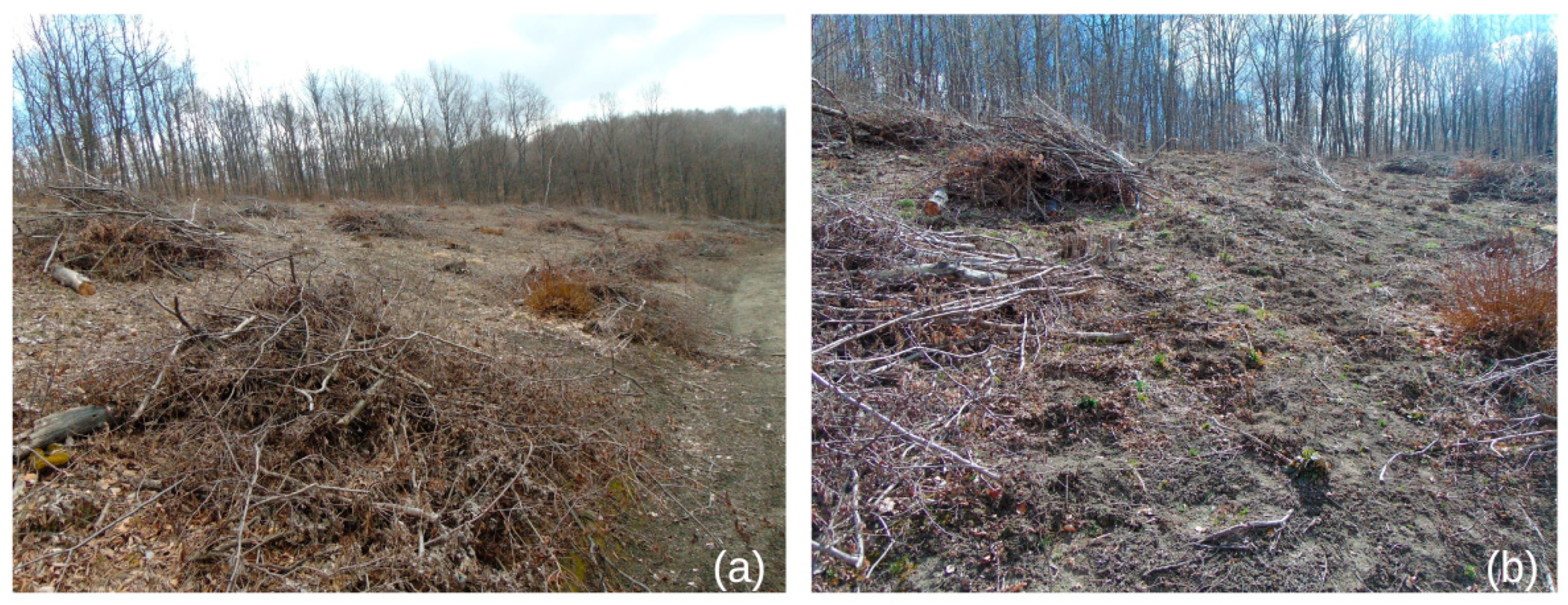 Atmosphere 13 01452 g005