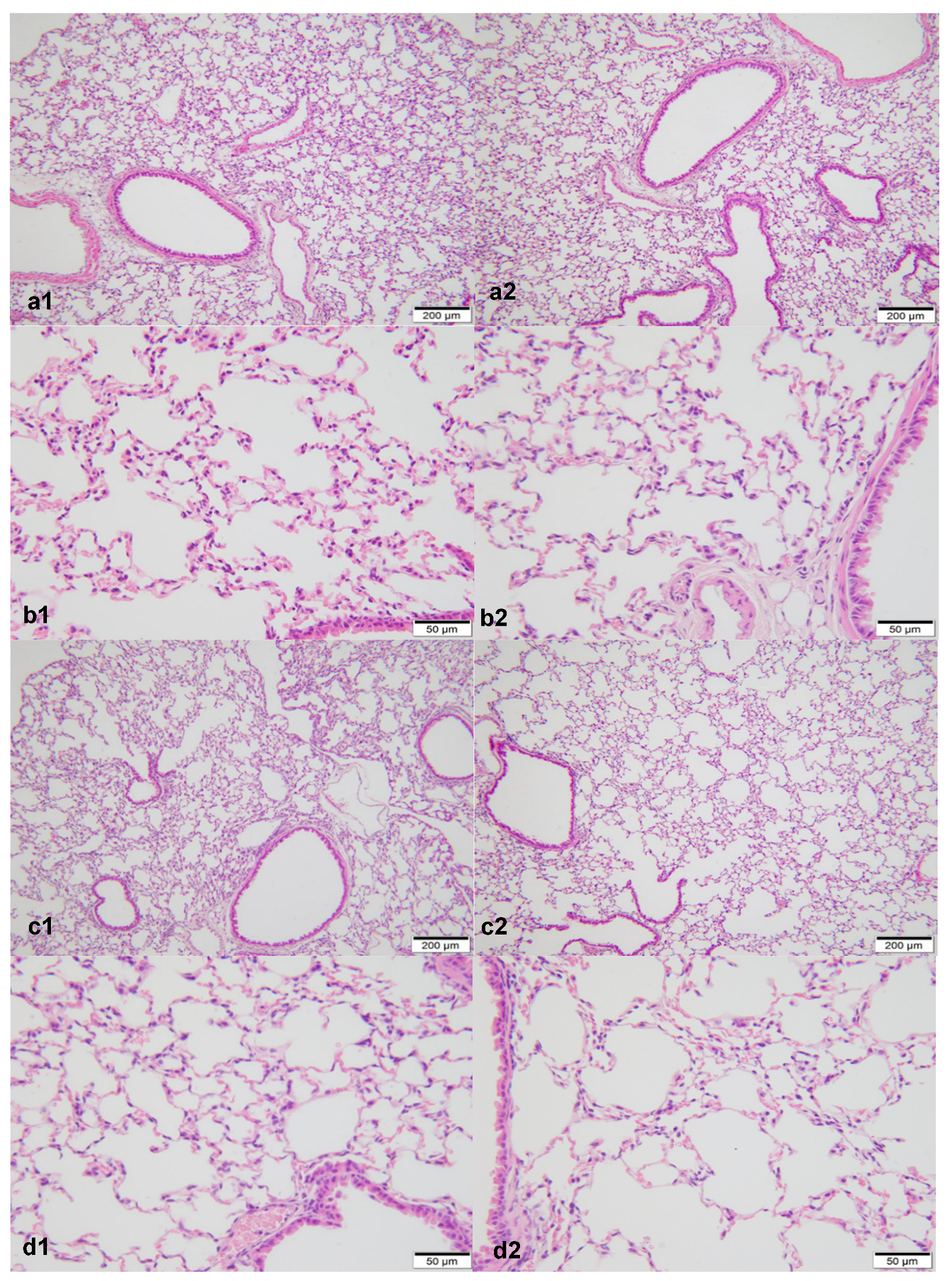 Atmosphere 13 01562 g001