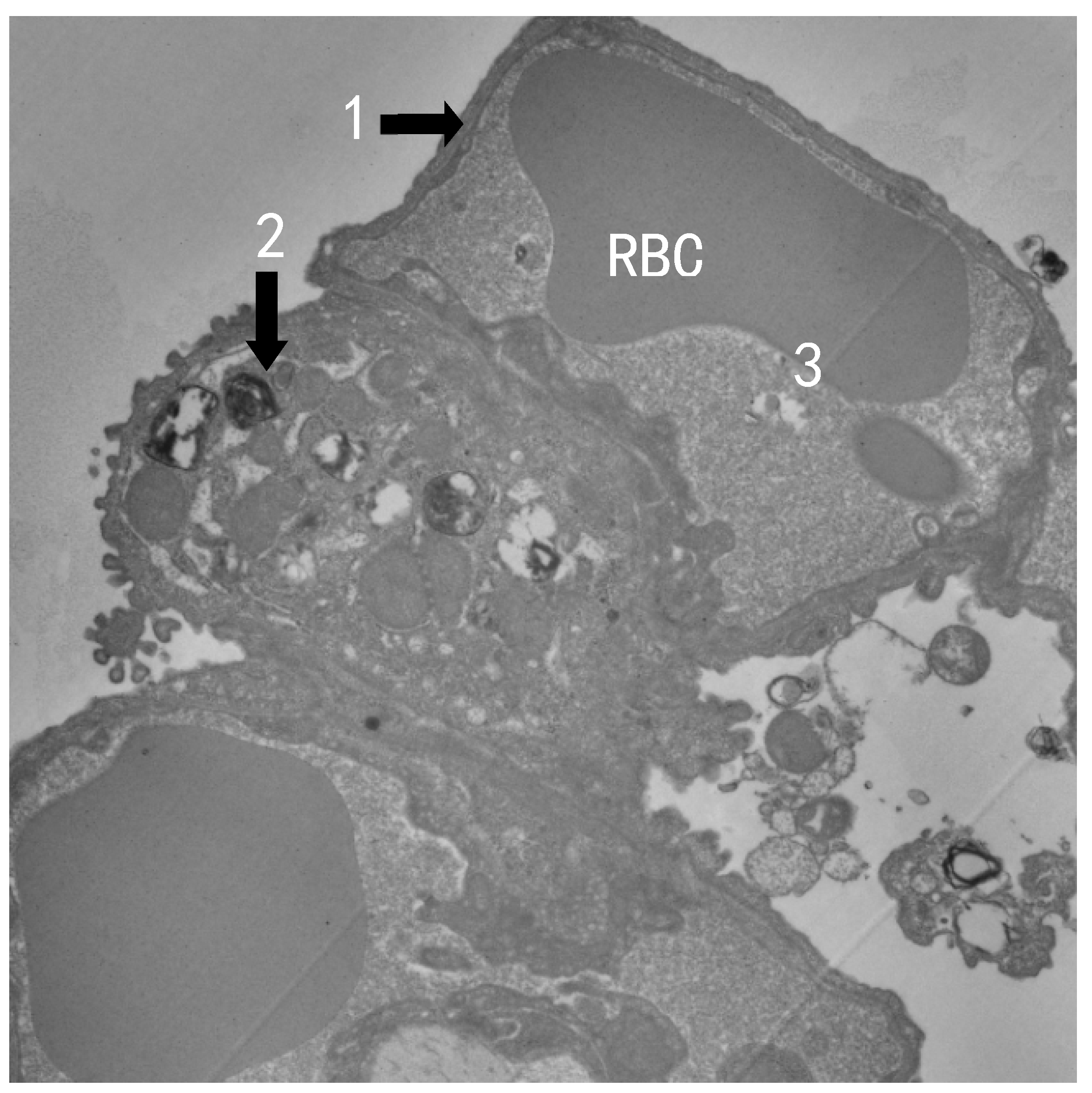 Atmosphere 13 01562 g003