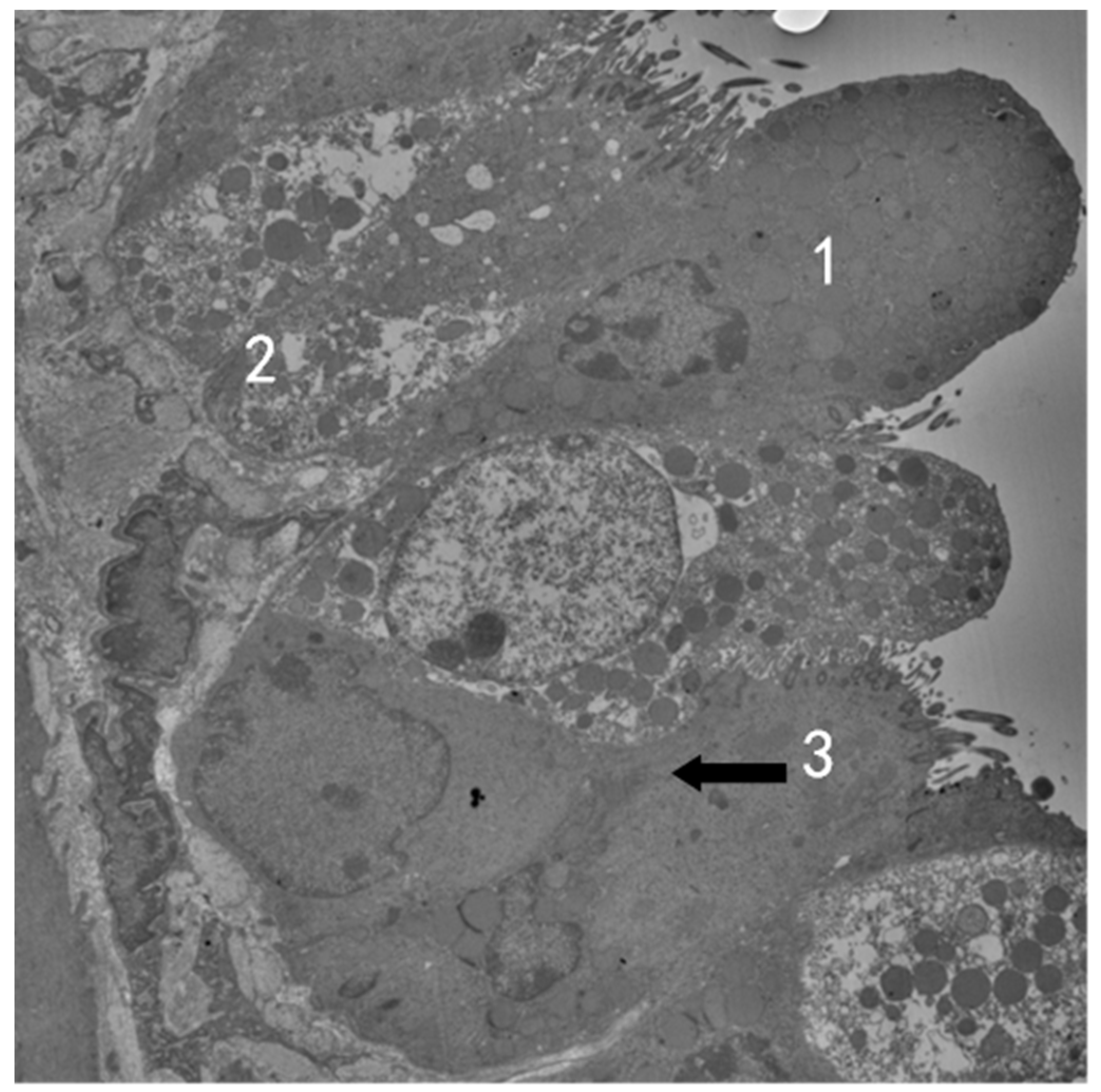 Atmosphere 13 01562 g004