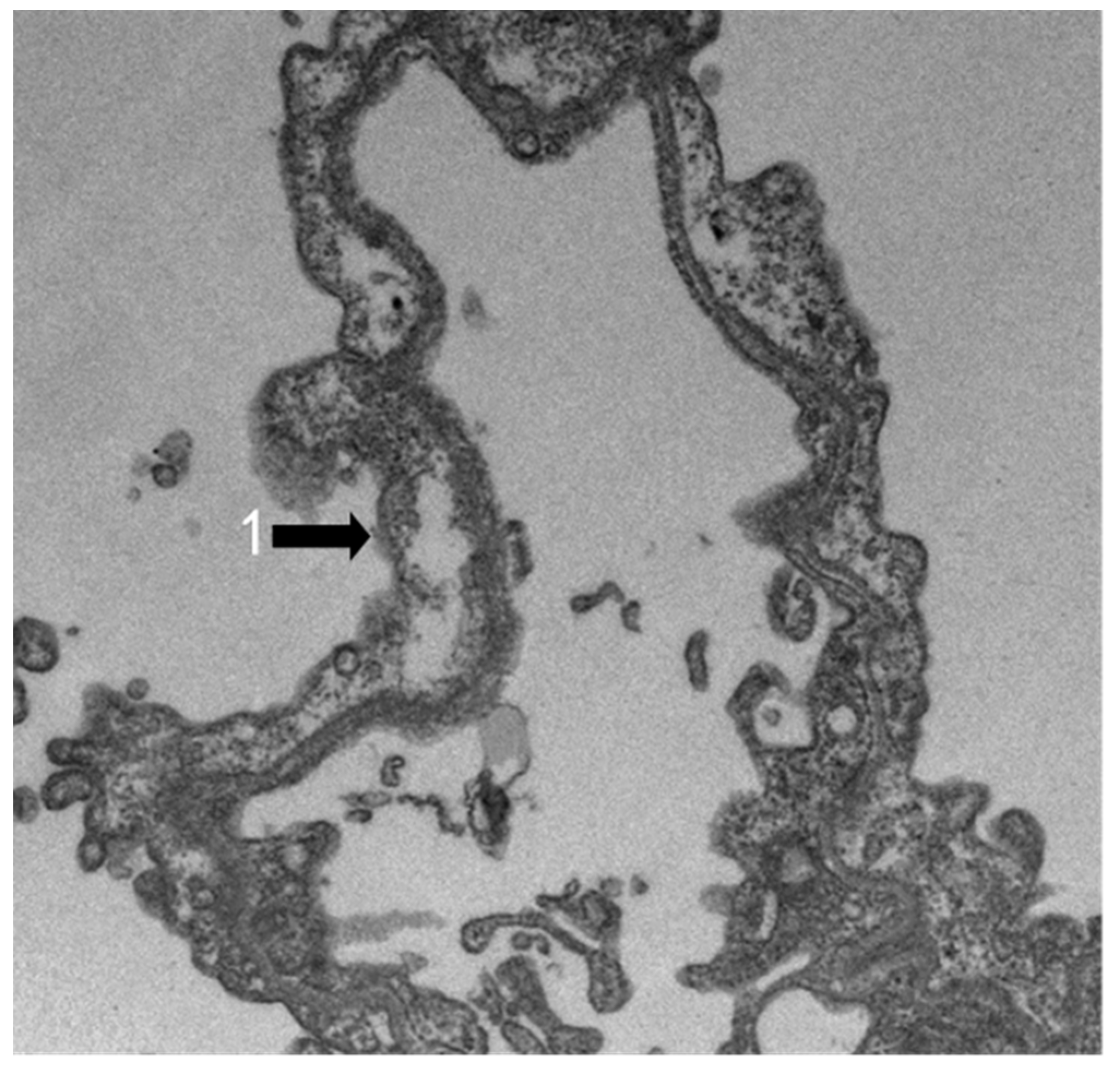 Atmosphere 13 01562 g005