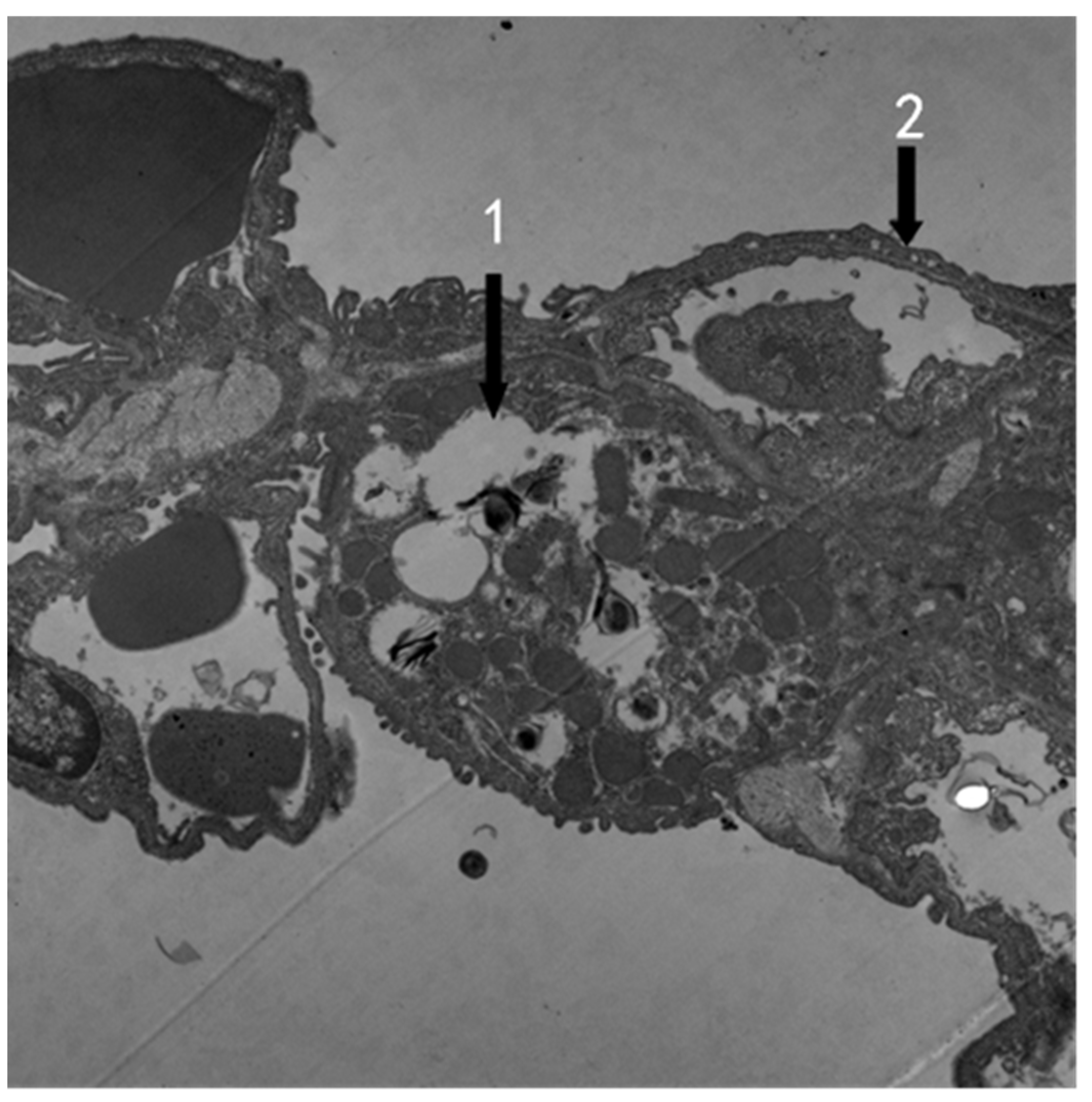 Atmosphere 13 01562 g006