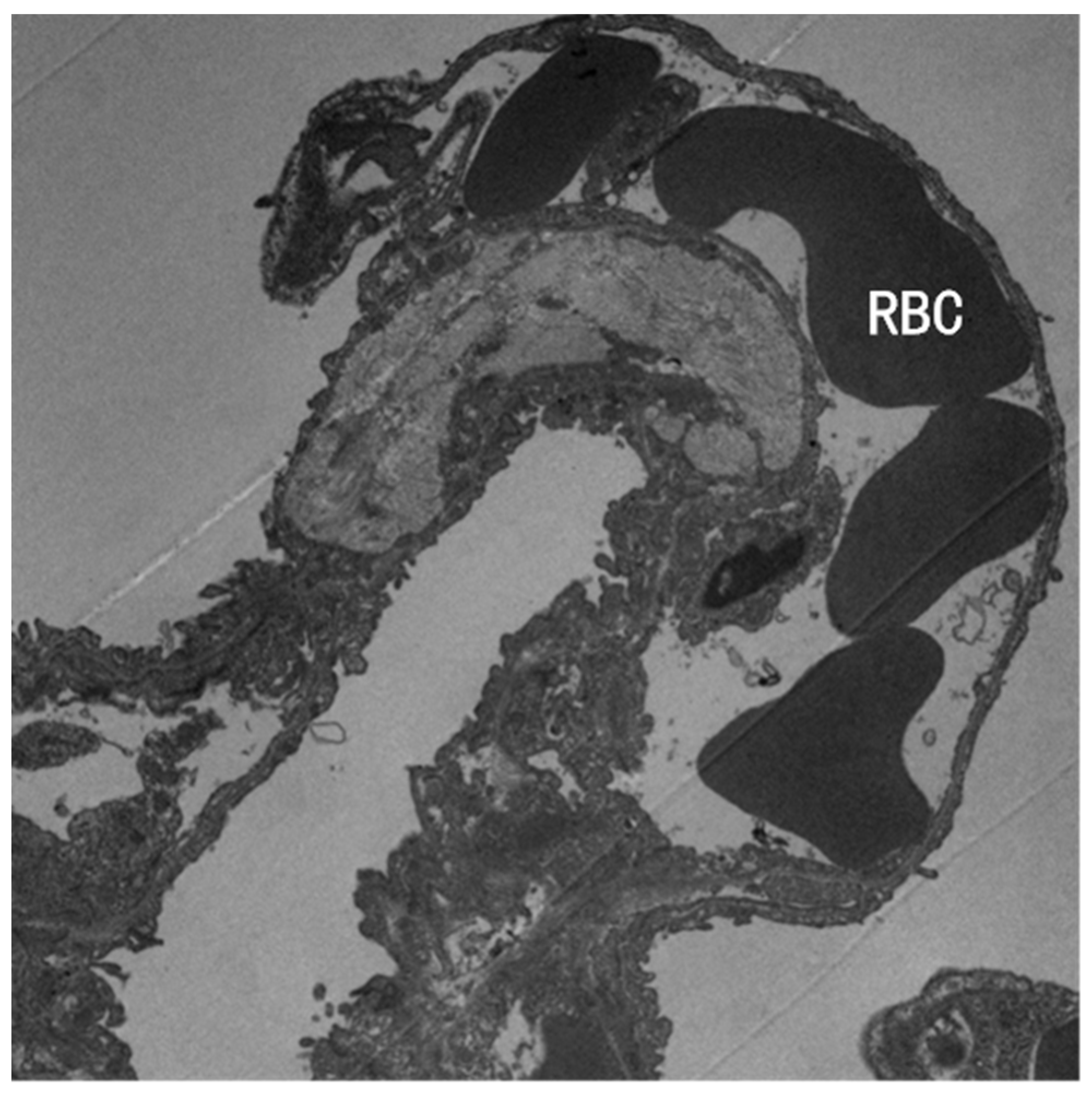 Atmosphere 13 01562 g007