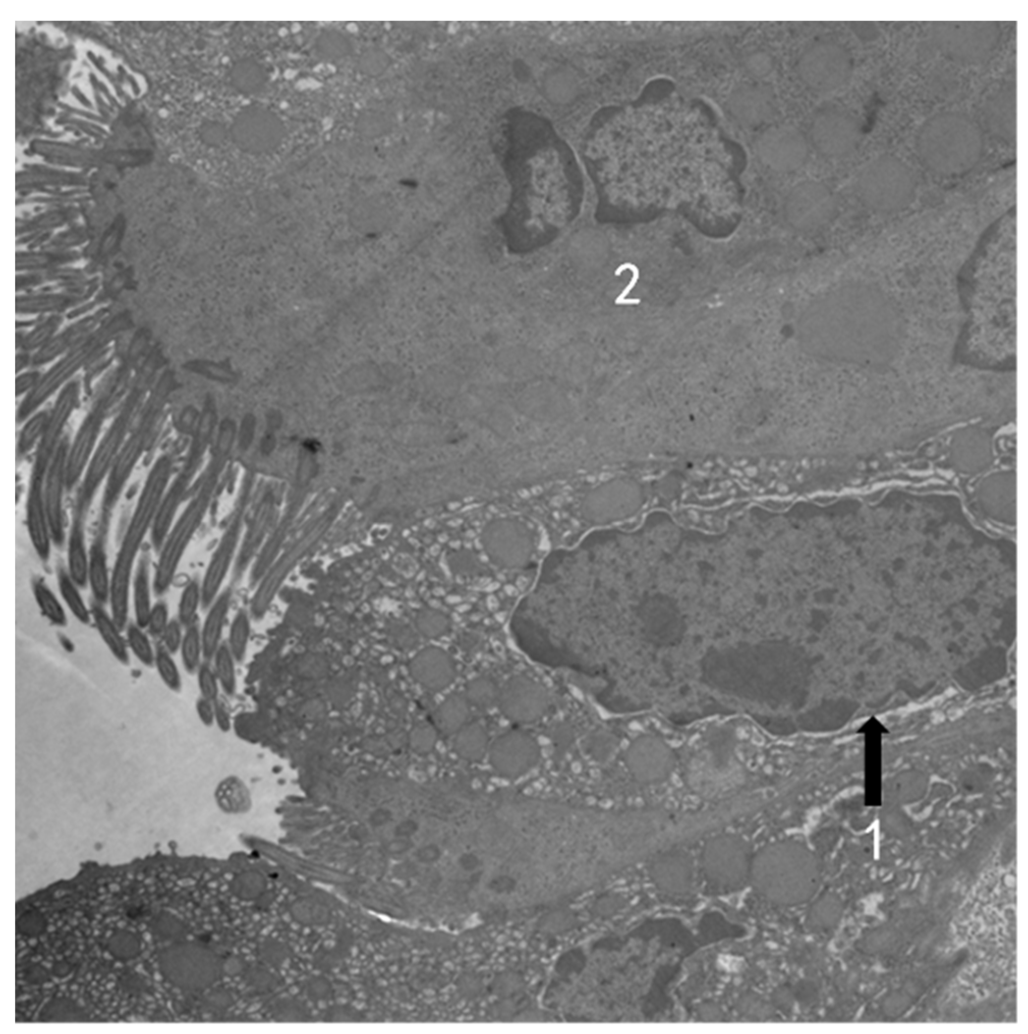 Atmosphere 13 01562 g008