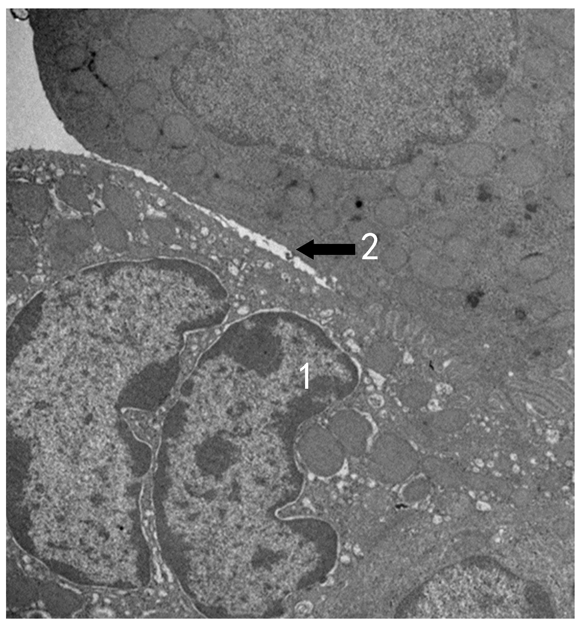 Atmosphere 13 01562 g009