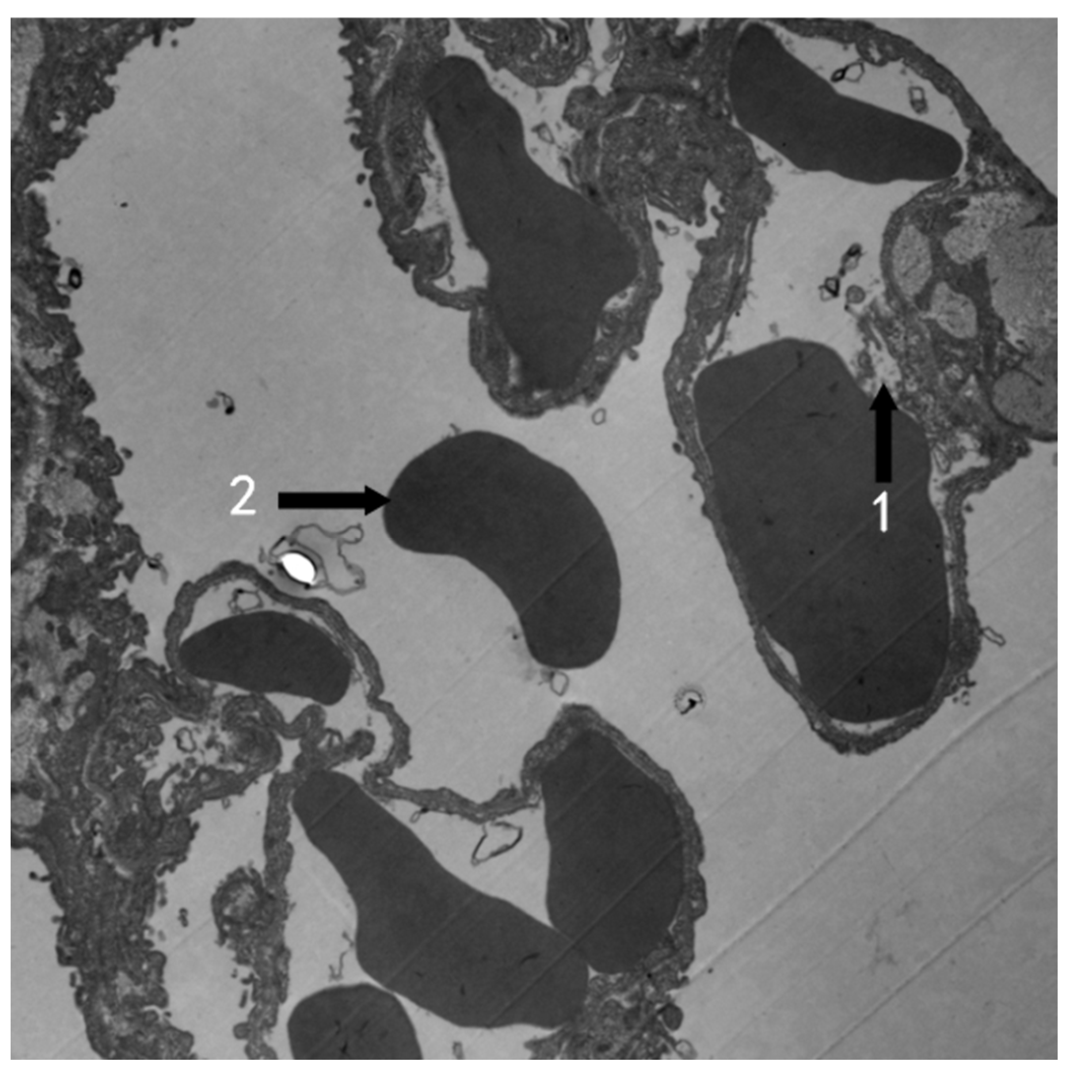 Atmosphere 13 01562 g010