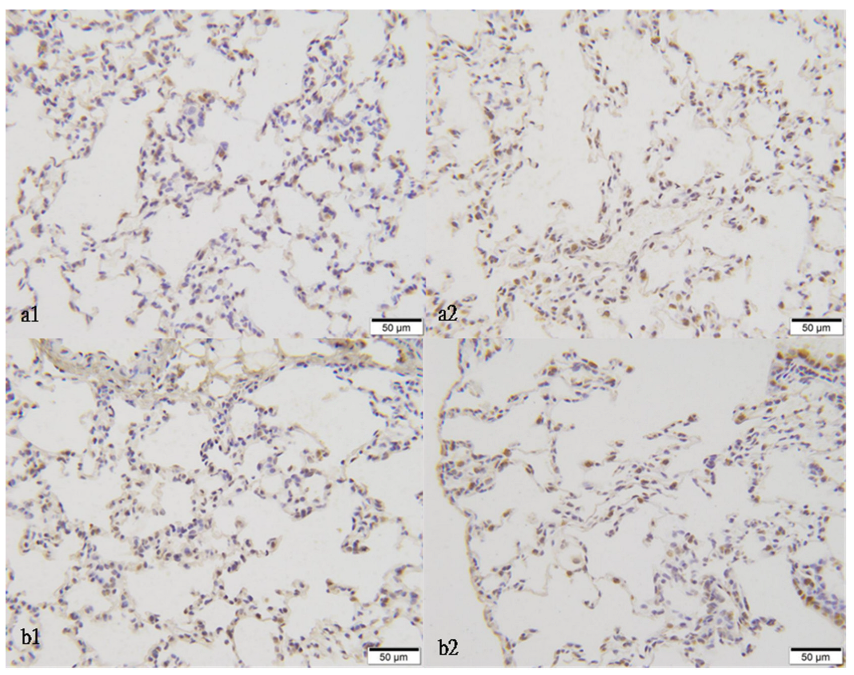 Atmosphere 13 01562 g011