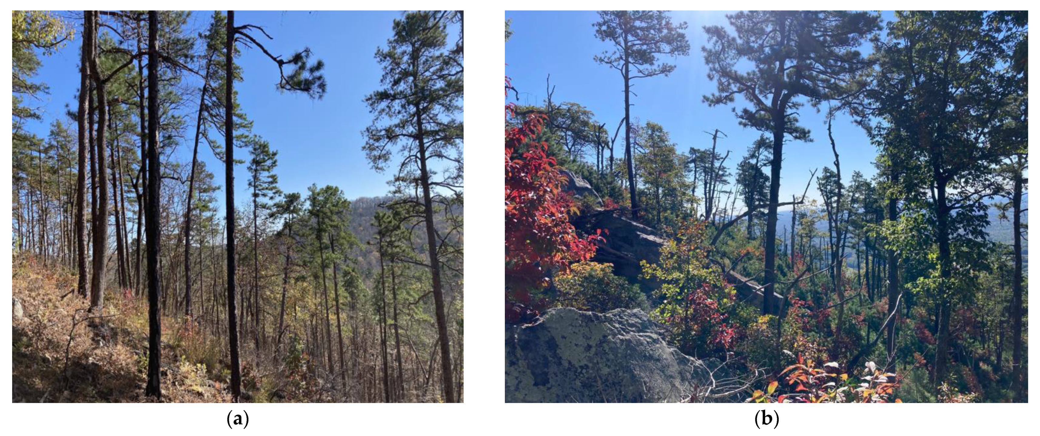 Atmosphere 13 01731 g001