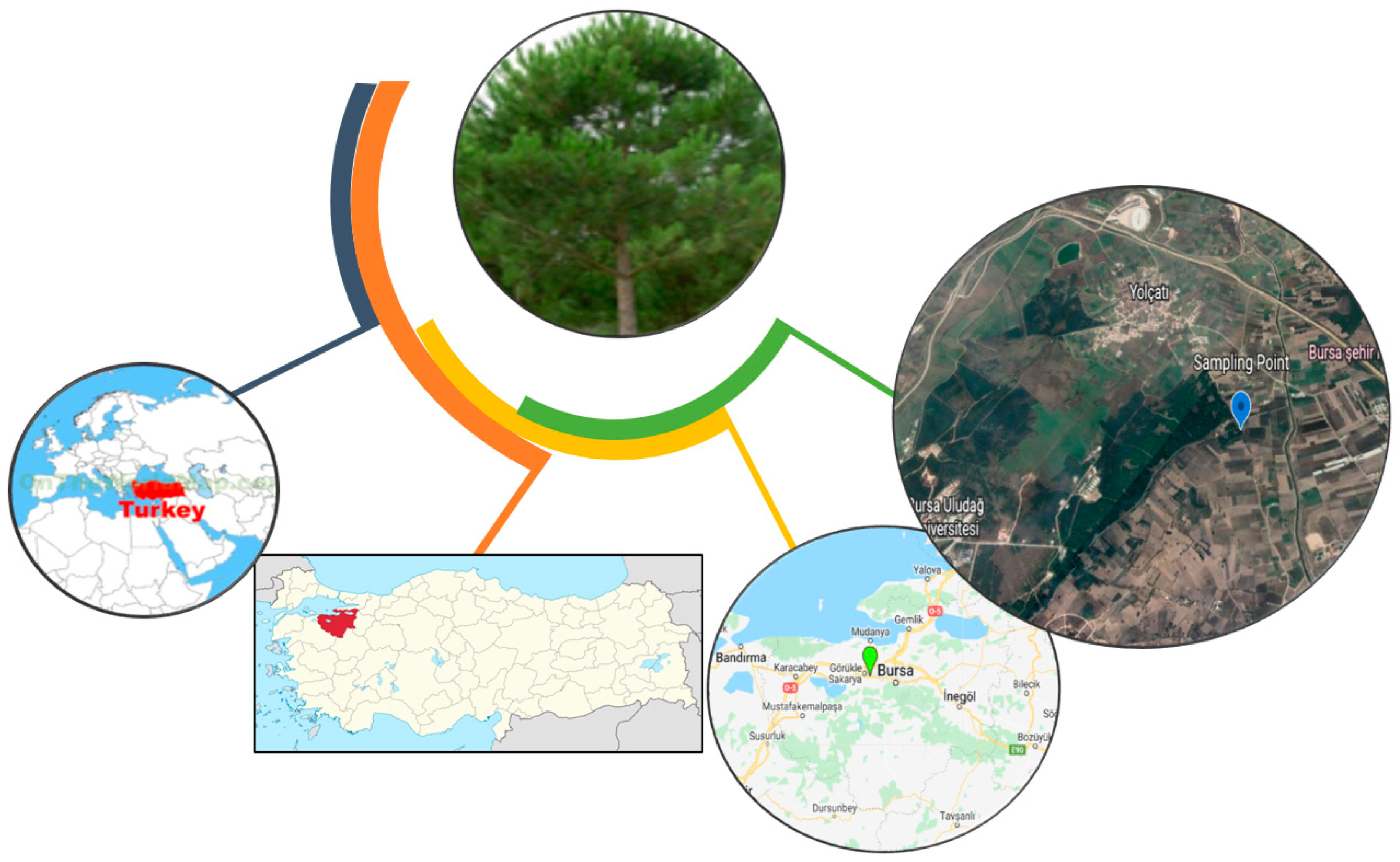 Atmosphere 13 01938 g001