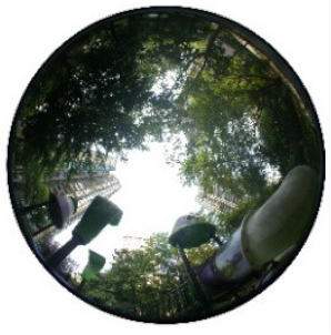 Atmosphere 13 02016 i002