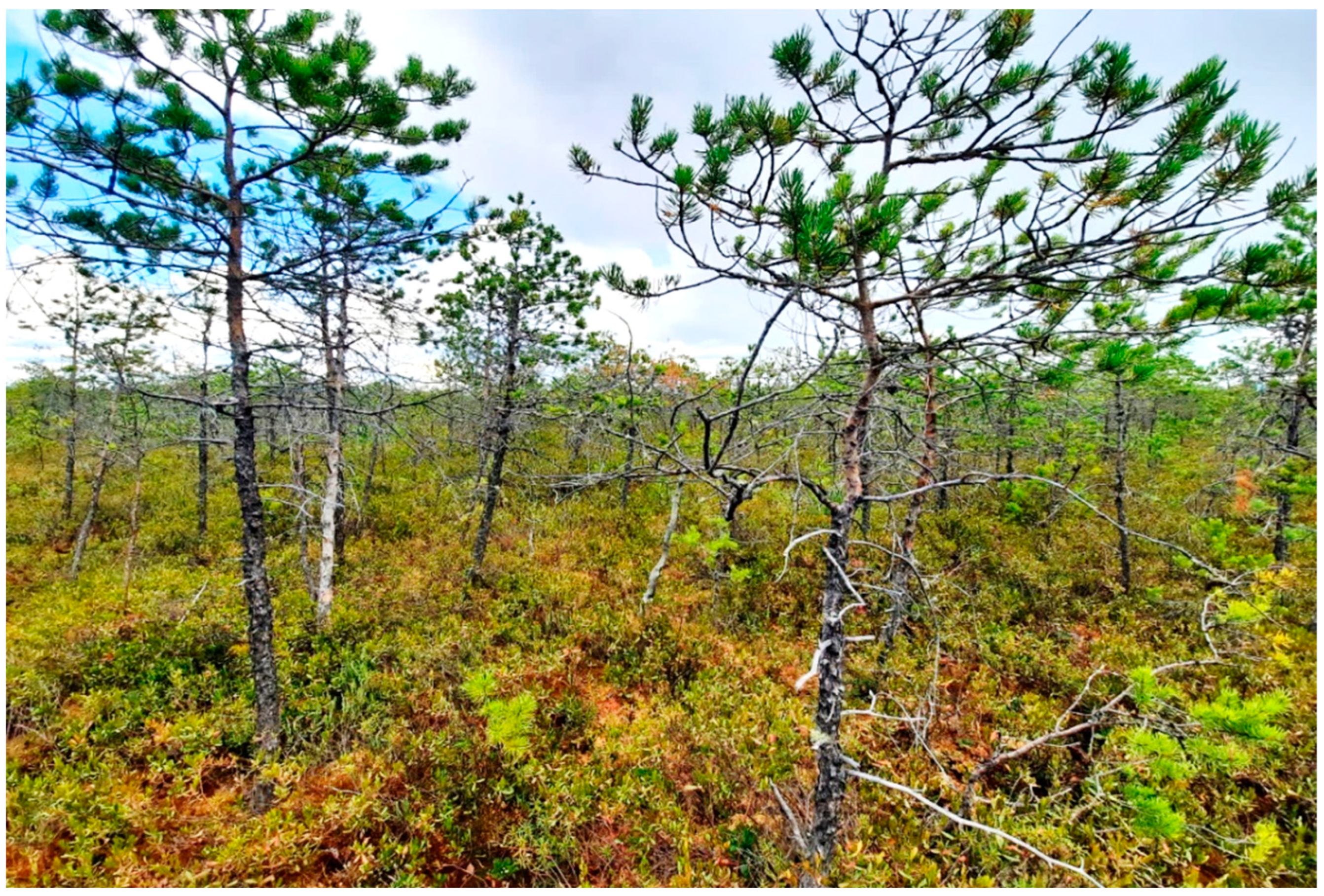 Atmosphere 13 02053 g004