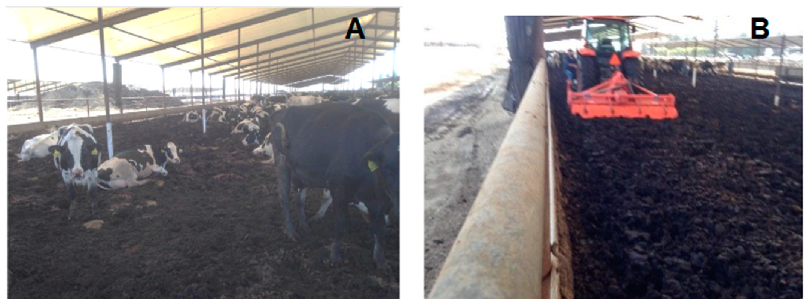 Atmosphere 14 00120 g005