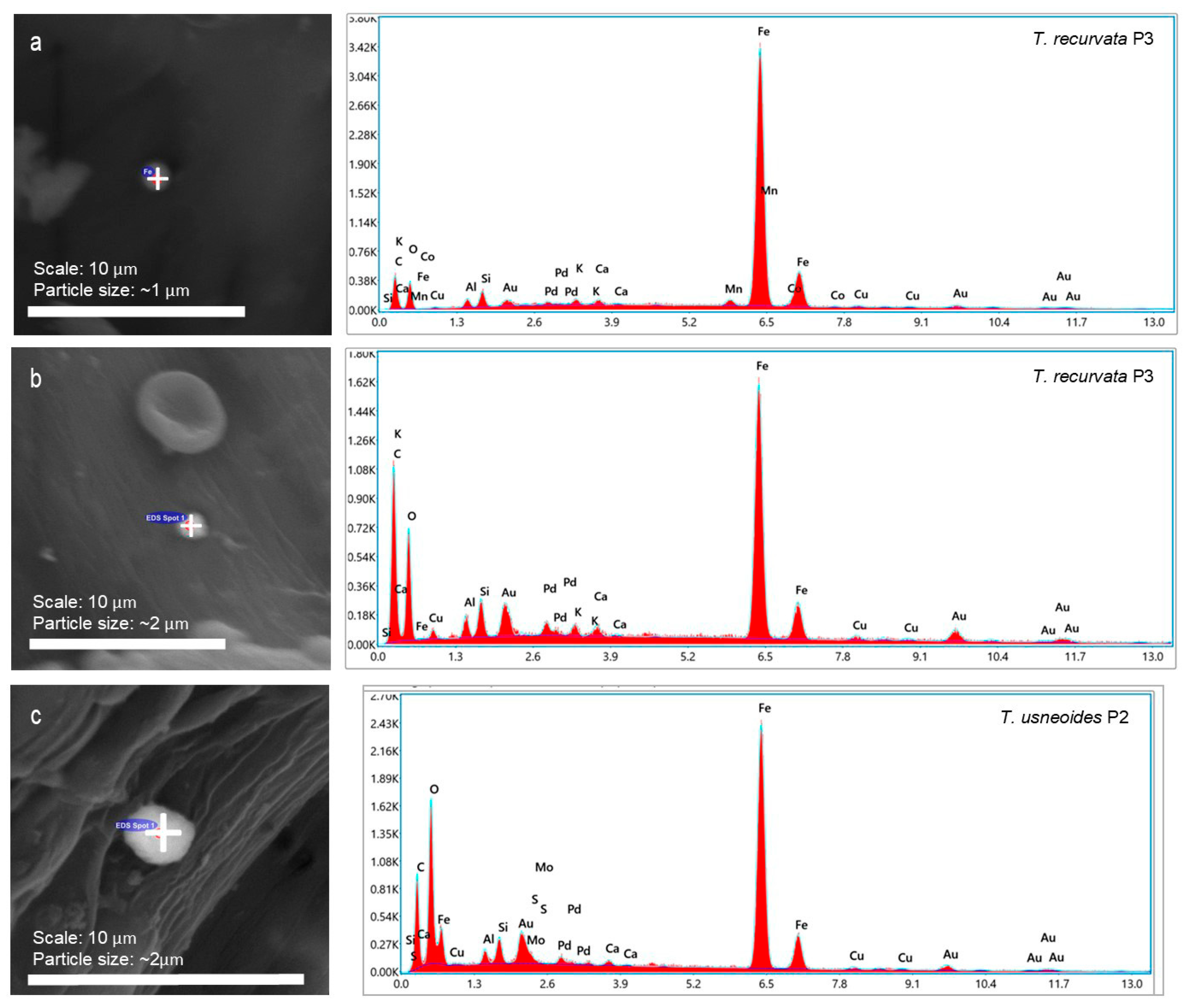 Atmosphere 14 00213 g003 Atmosphere 14 00213 g003