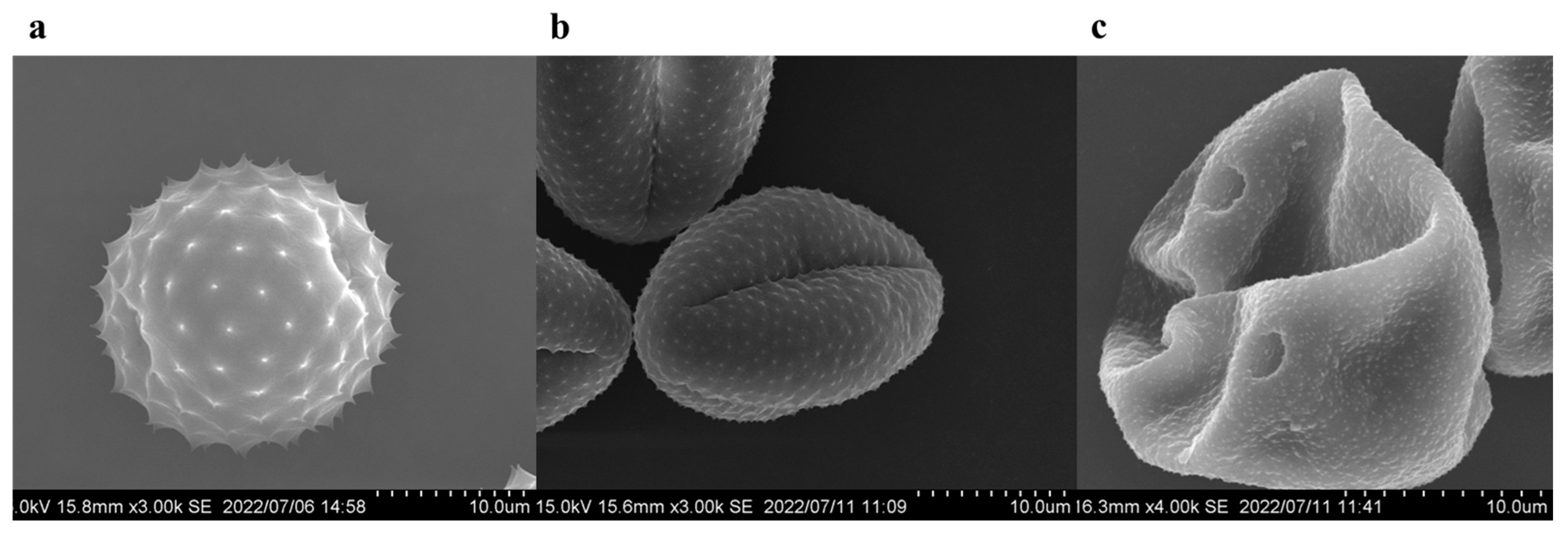 Atmosphere 14 00247 g002