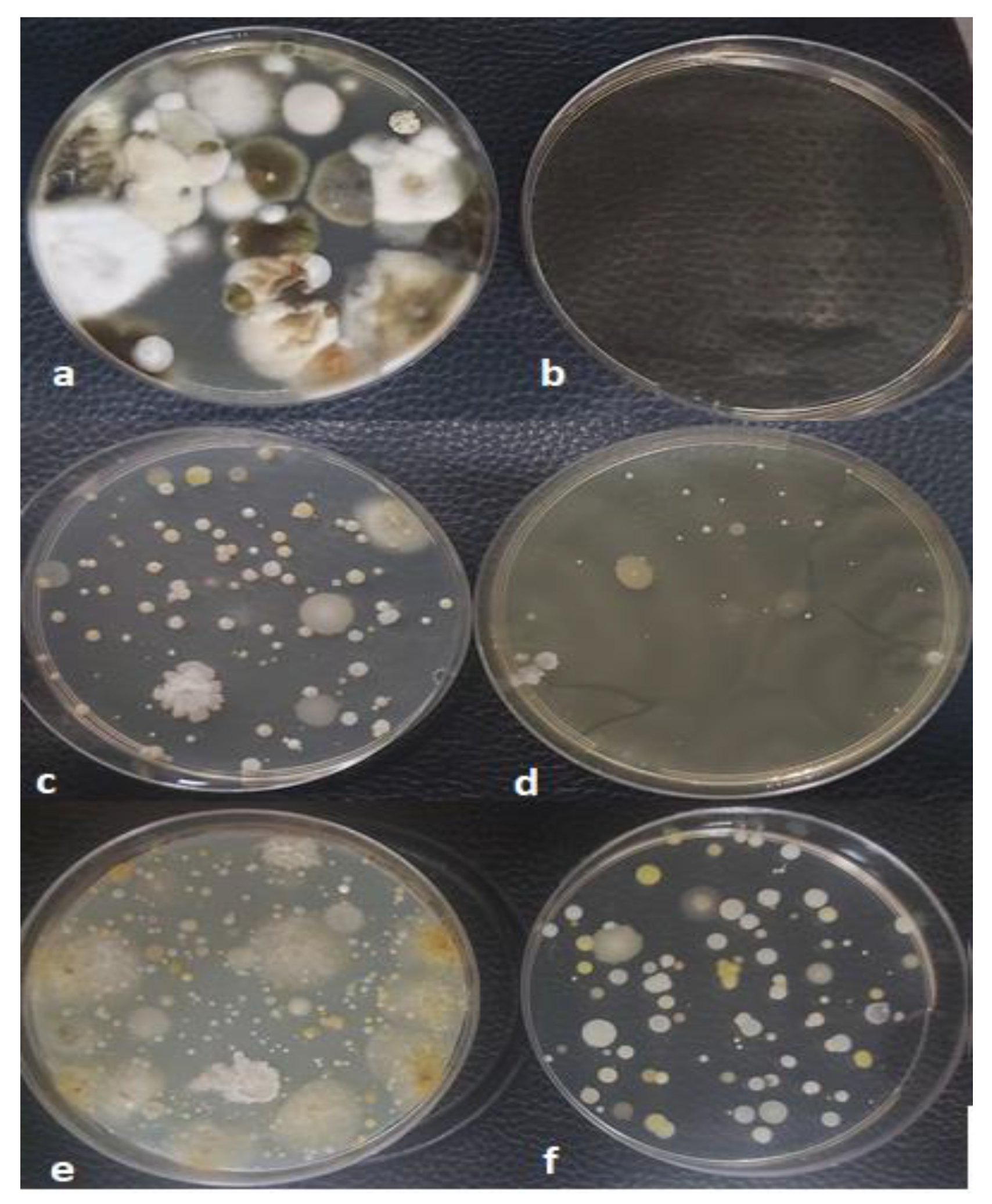 Atmosphere 14 00352 g006