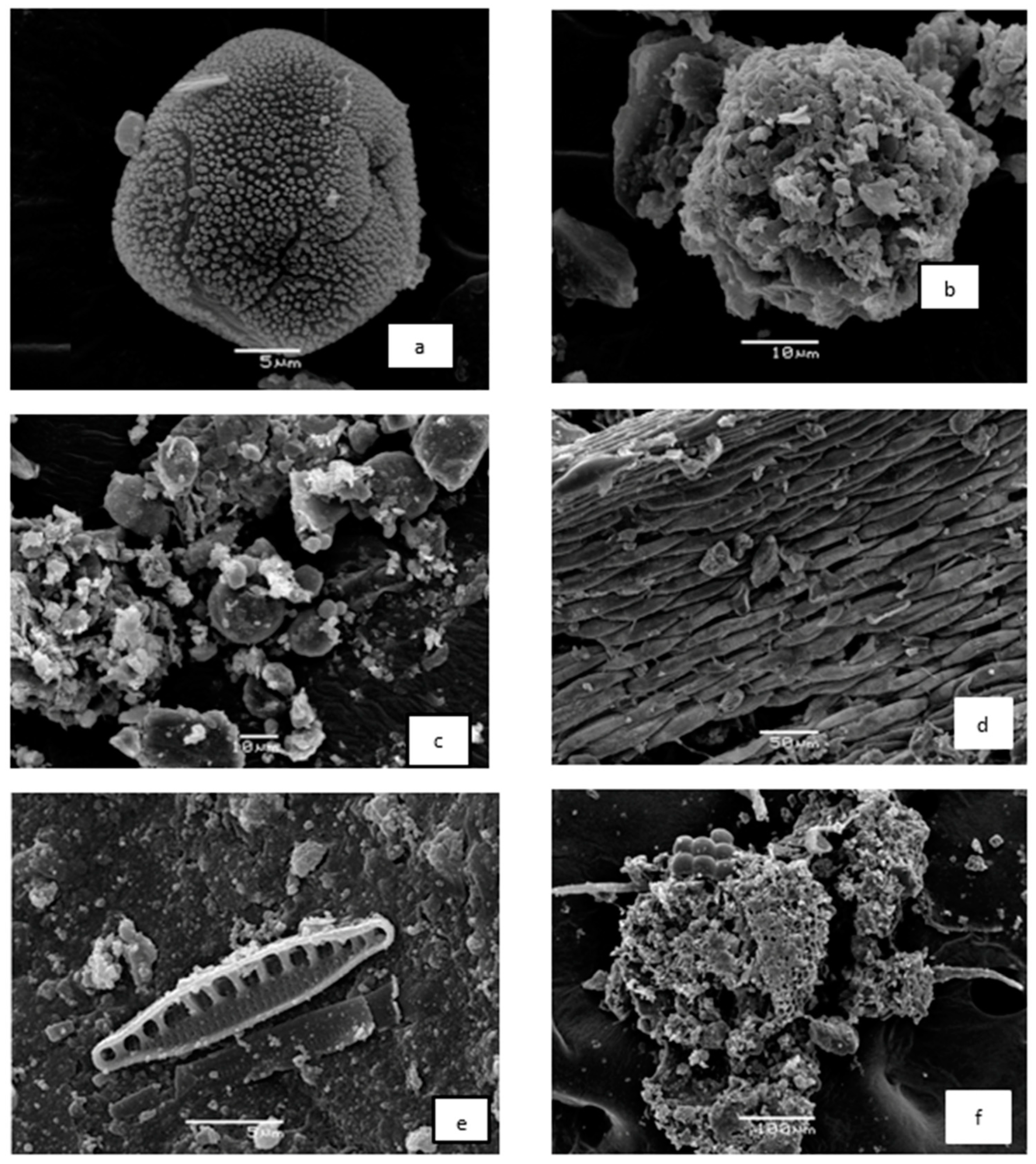 Atmosphere 14 00403 g002 Atmosphere 14 00403 g002