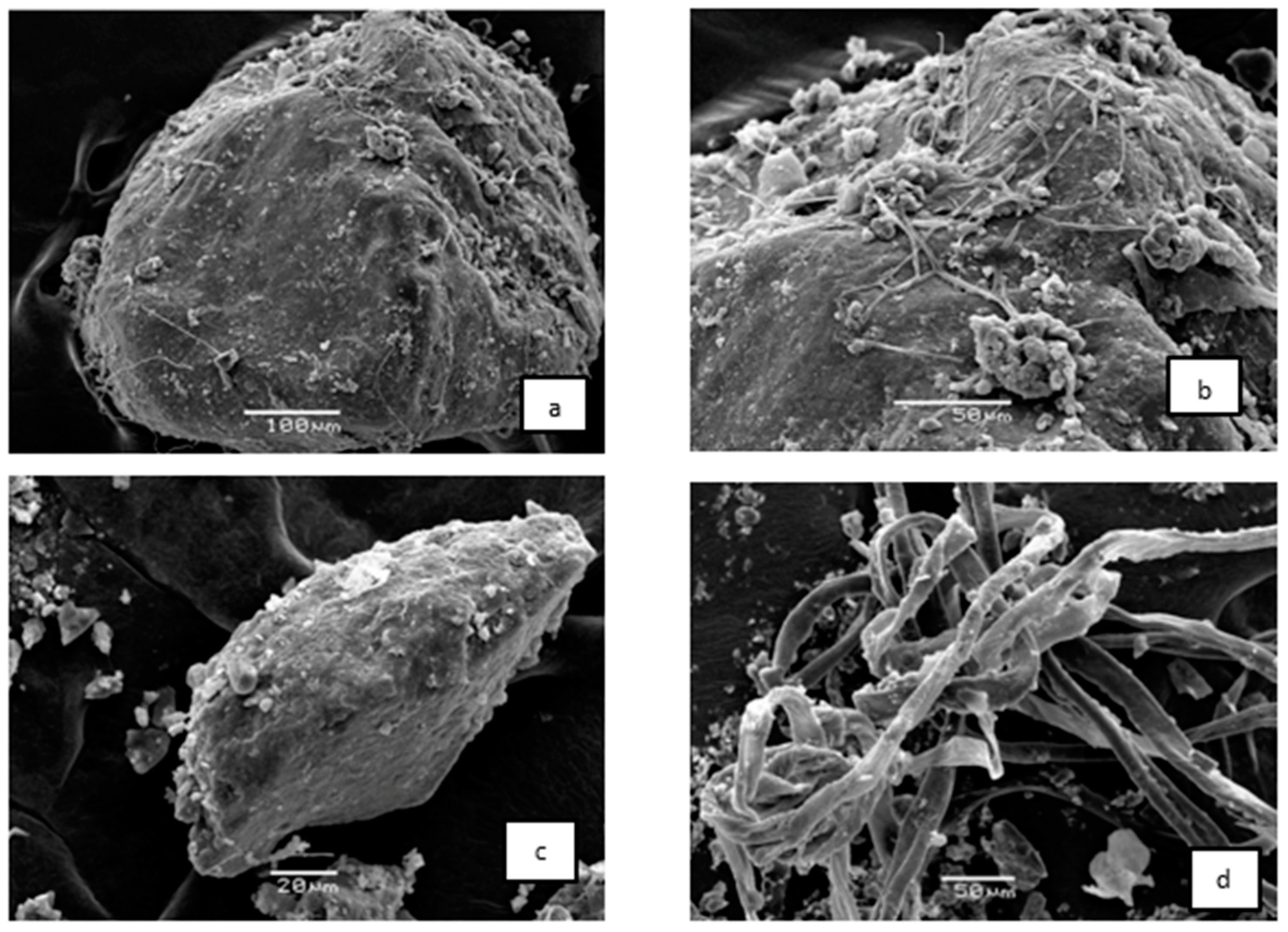 Atmosphere 14 00403 g003 Atmosphere 14 00403 g003
