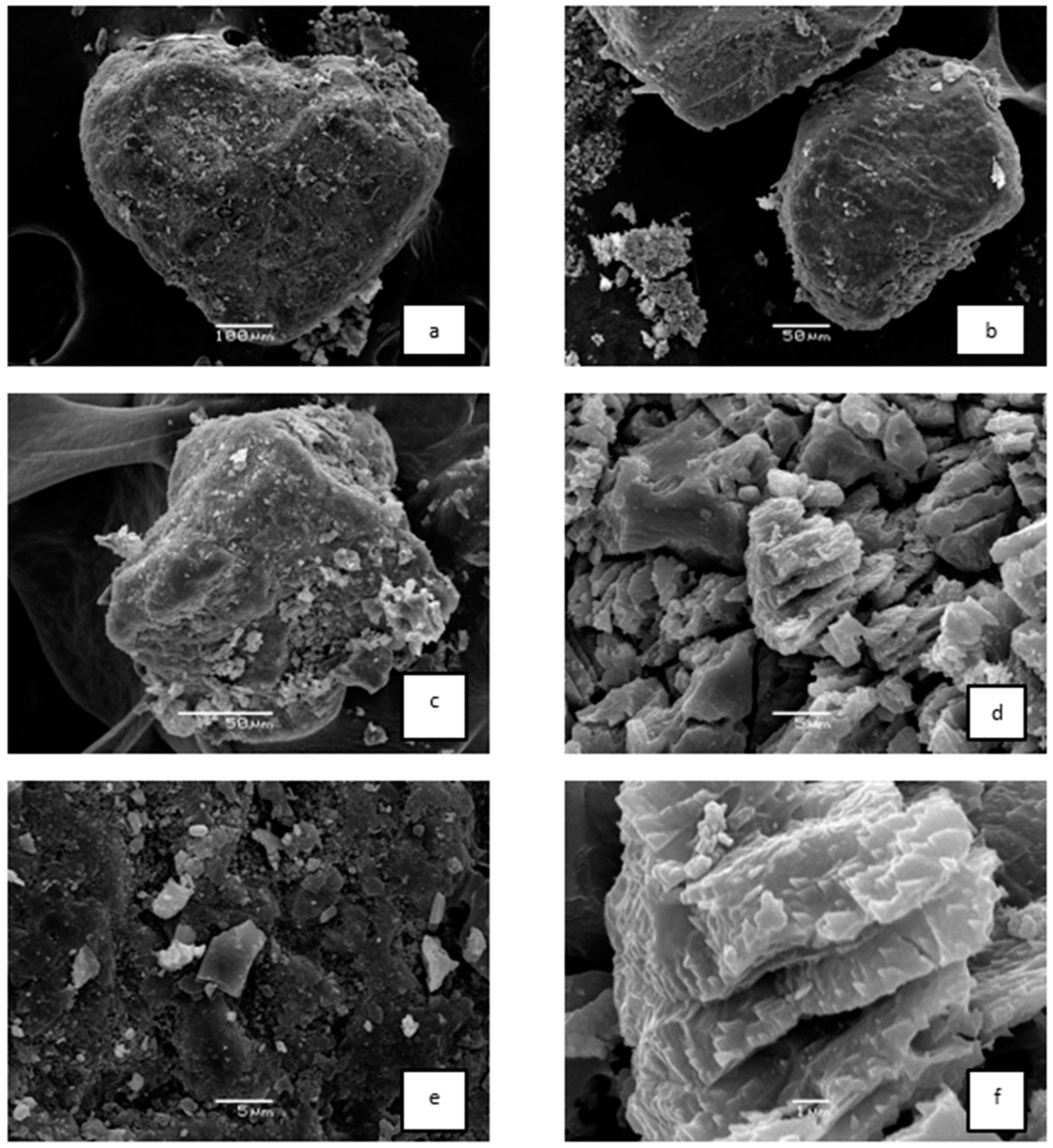 Atmosphere 14 00403 g006 Atmosphere 14 00403 g006