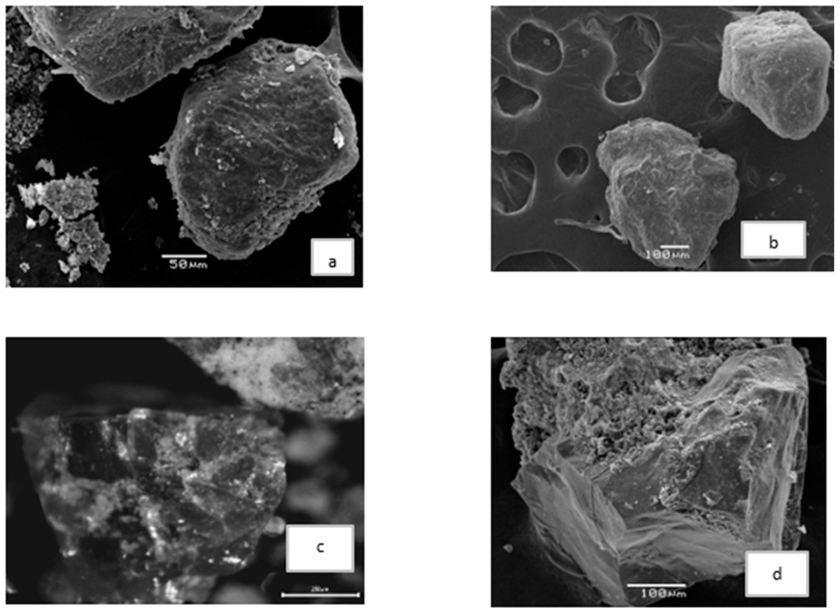 Atmosphere 14 00403 g009 Atmosphere 14 00403 g009