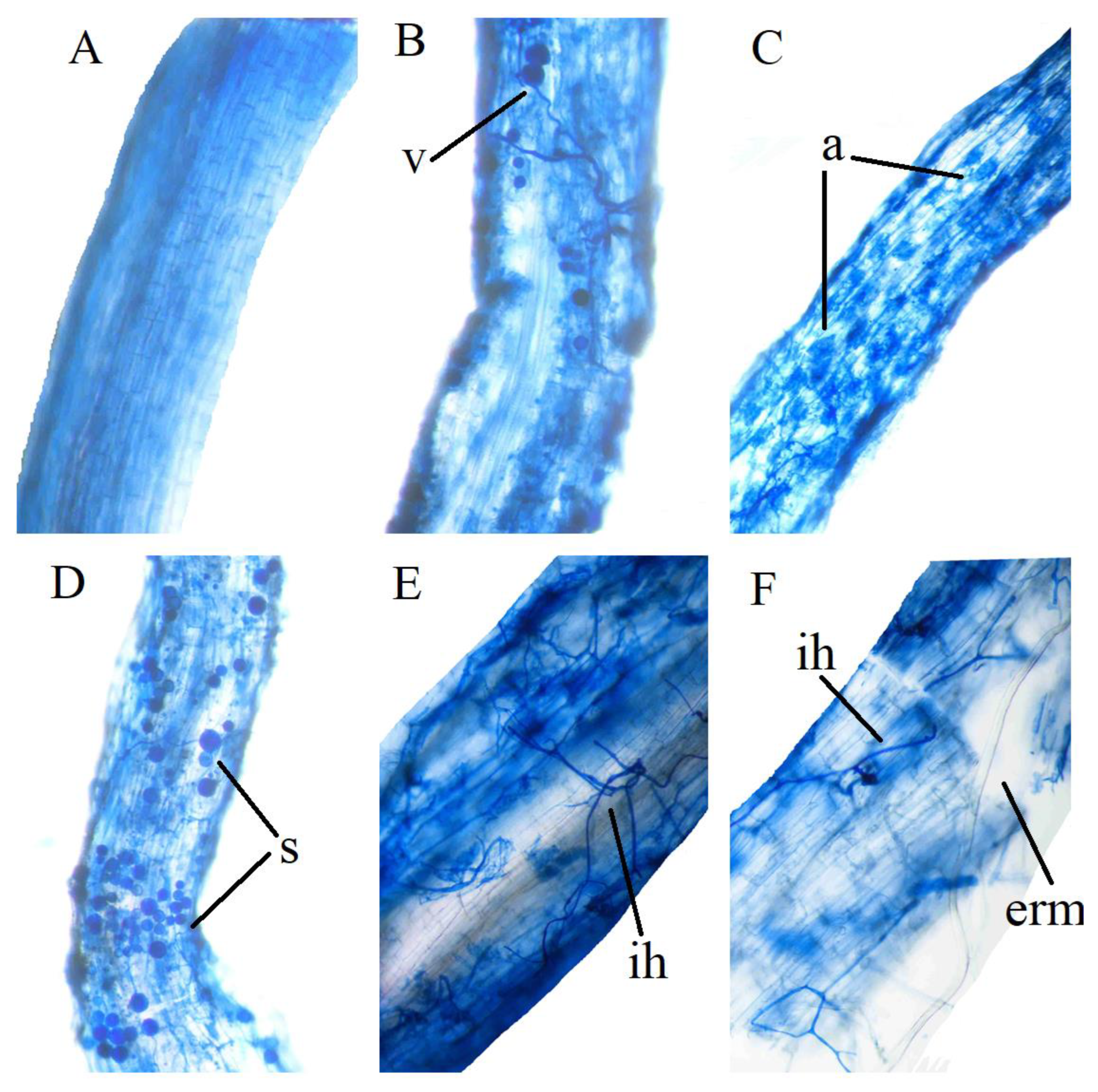 Atmosphere 14 00446 g001