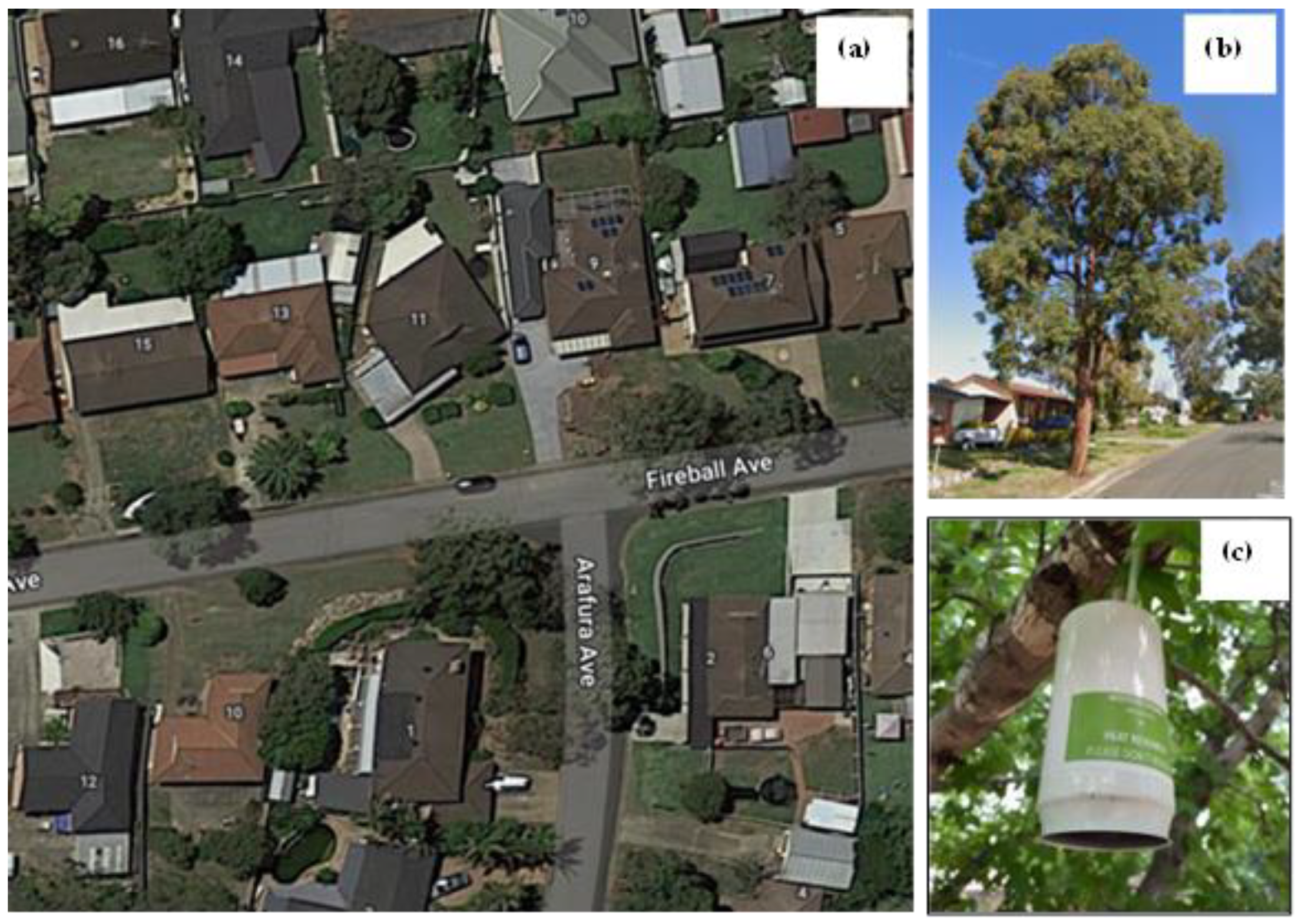 Atmosphere 14 00606 g001 Atmosphere 14 00606 g001