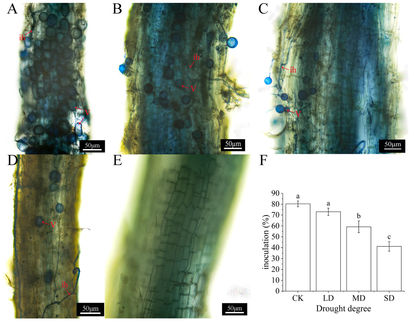 Atmosphere 14 00989 g001