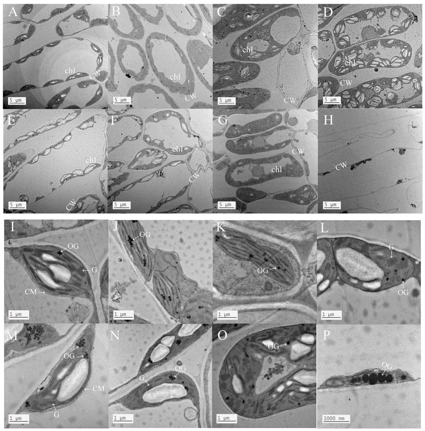 Atmosphere 14 00989 g004