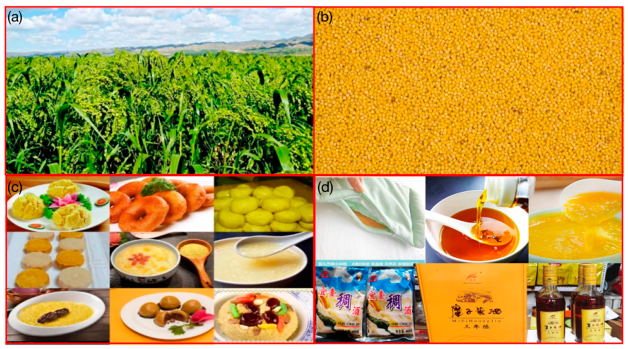 Atmosphere 14 01297 g001