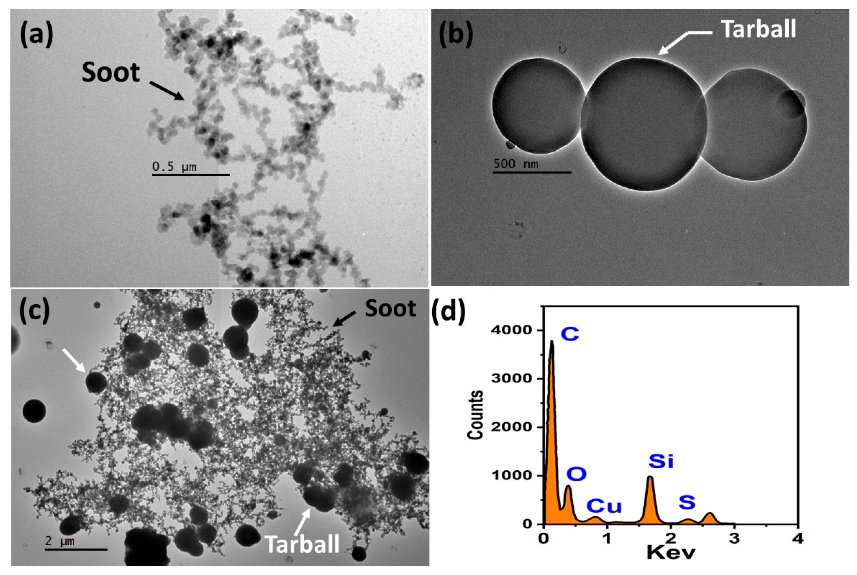 Atmosphere 15 00108 g002