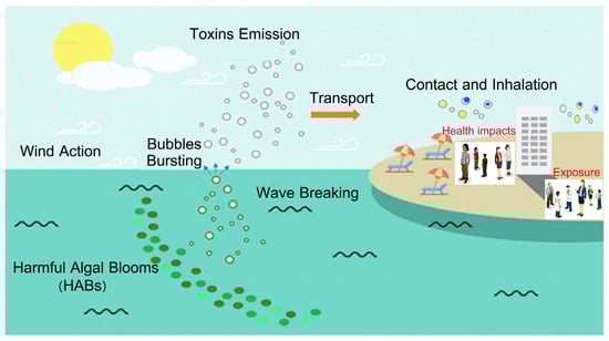 Atmosphere 15 00212 g008