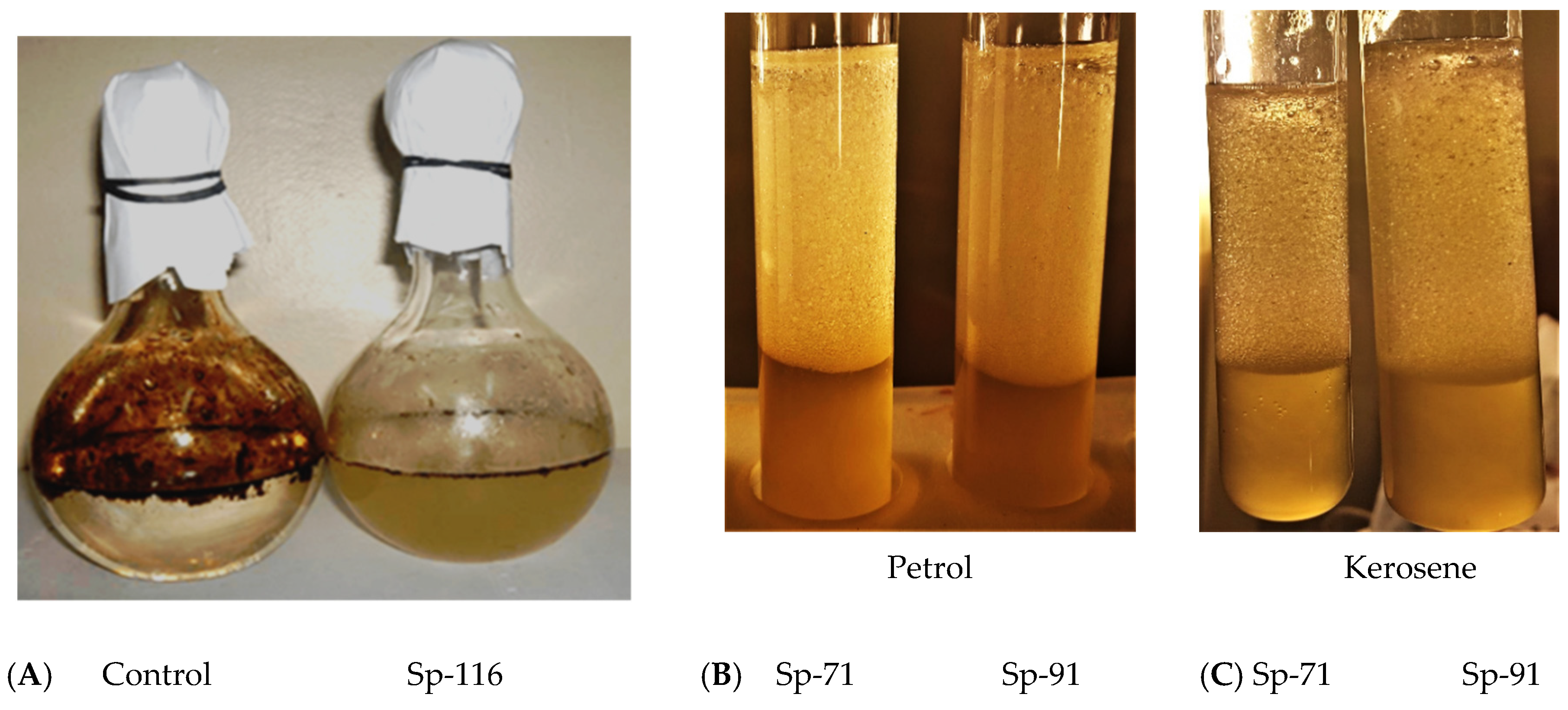 Atmosphere 15 00365 g003