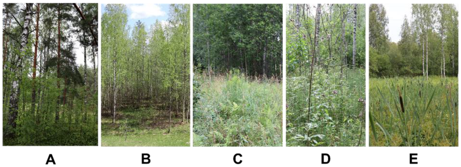 Atmosphere 15 00420 g002