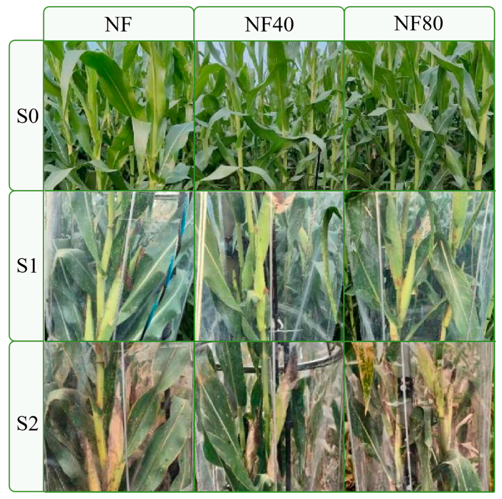 Atmosphere 15 00639 g003