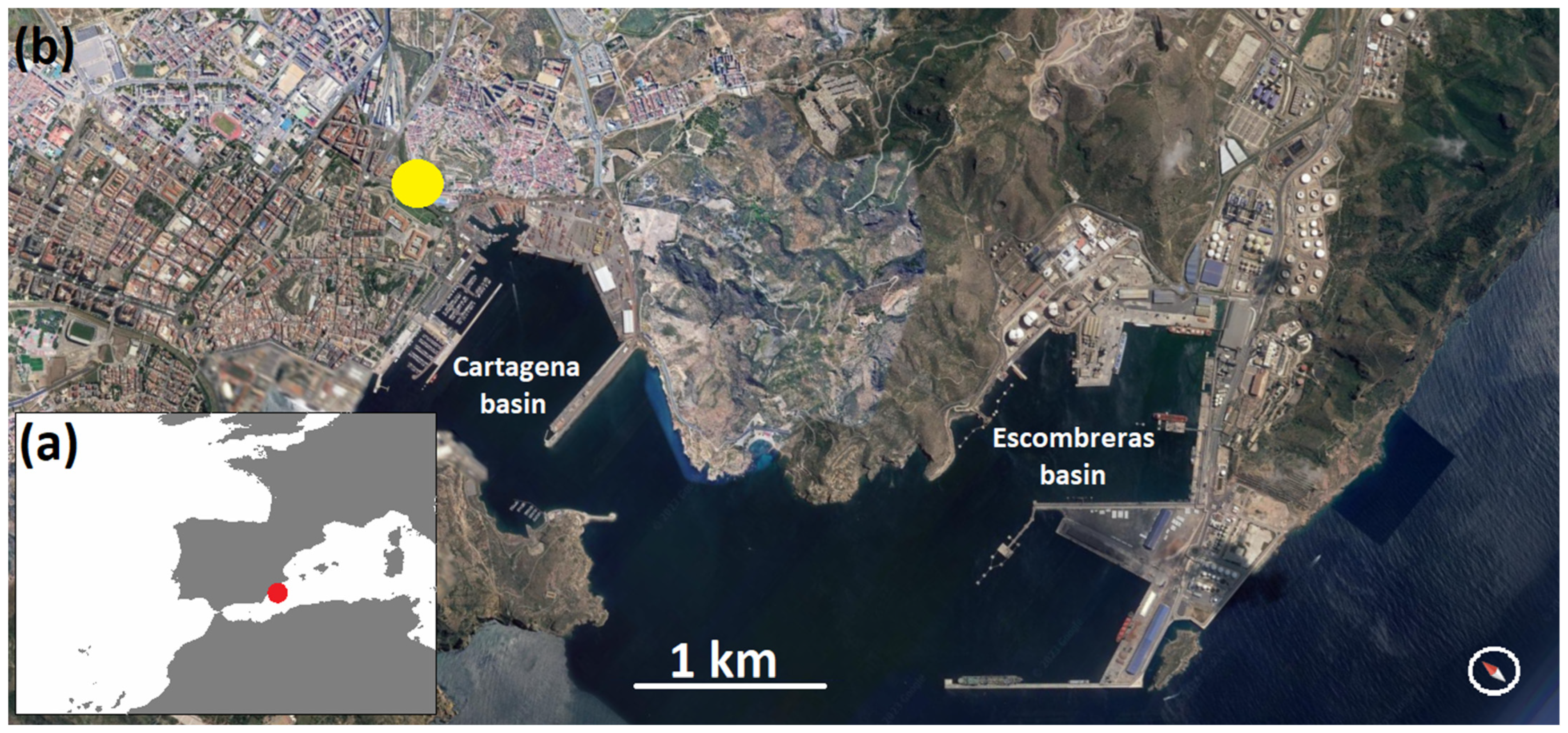 Atmosphere 15 00783 g001