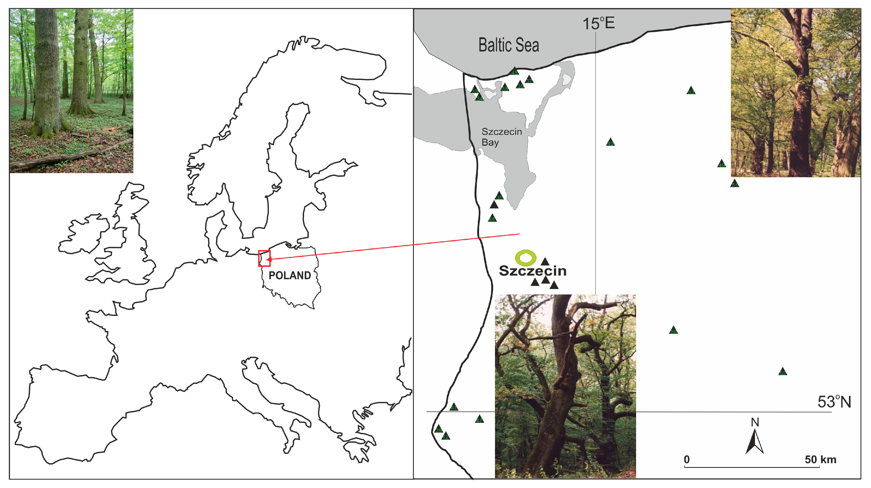 Atmosphere 15 01047 g001