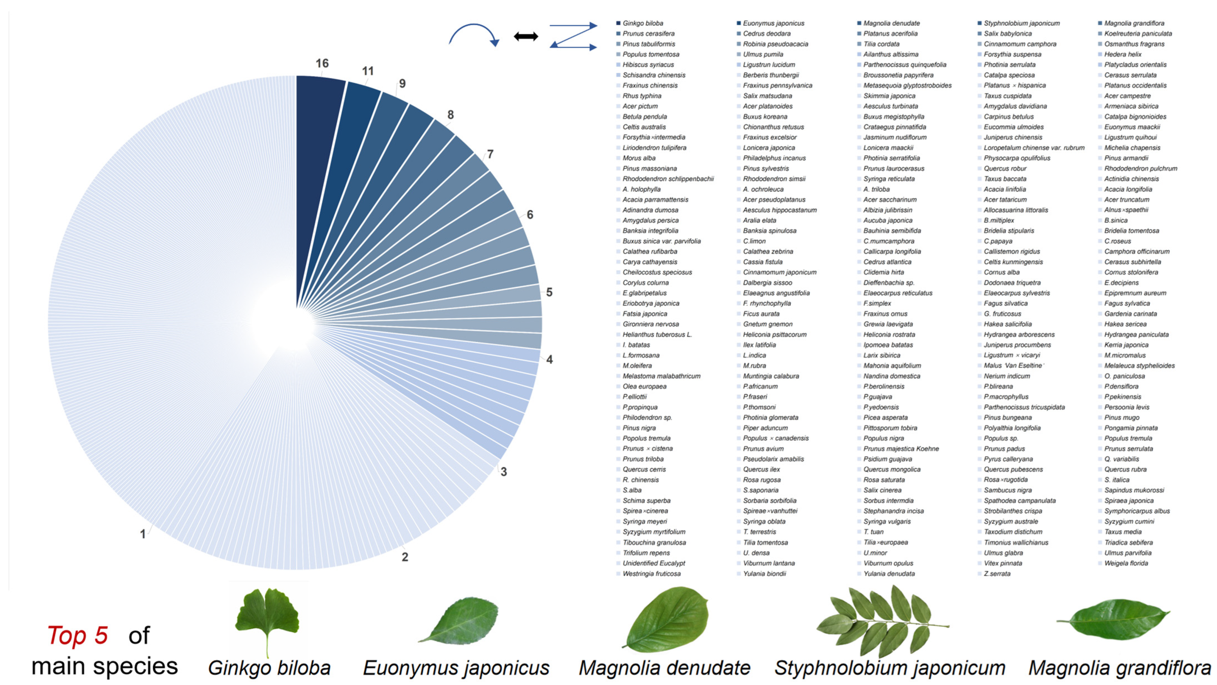 Atmosphere 16 00170 g004