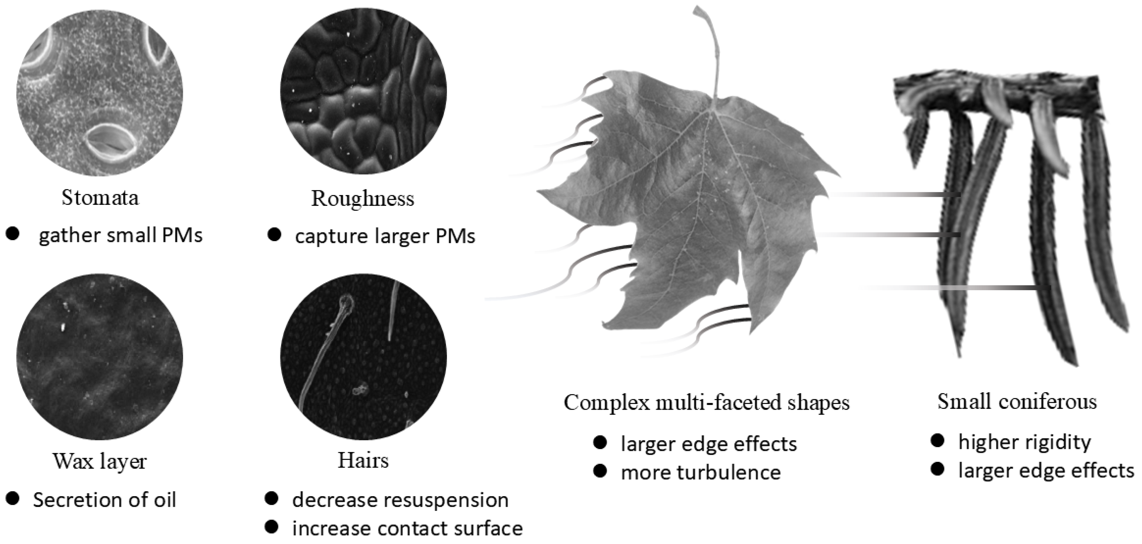 Atmosphere 16 00170 g005
