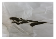 Atmosphere 16 00552 i004