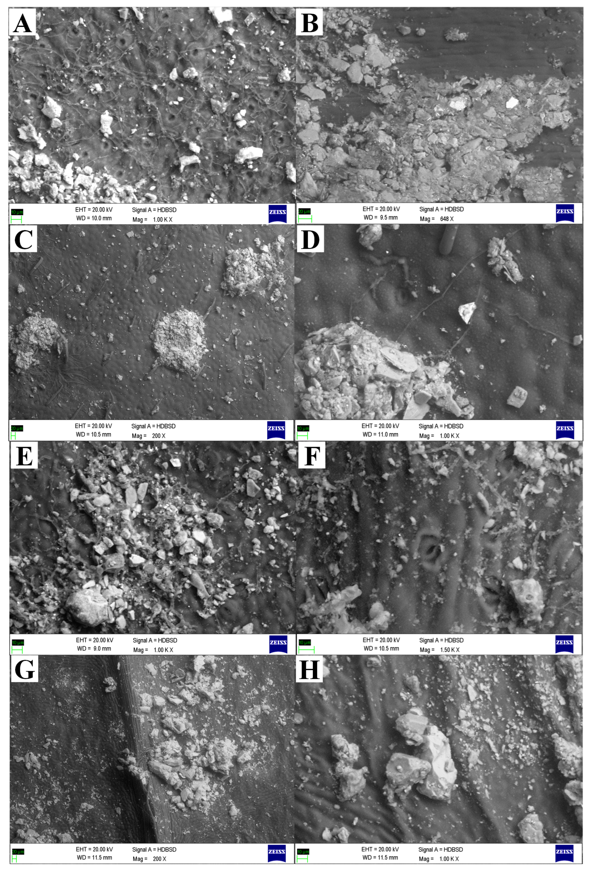 Atmosphere 16 00861 g002