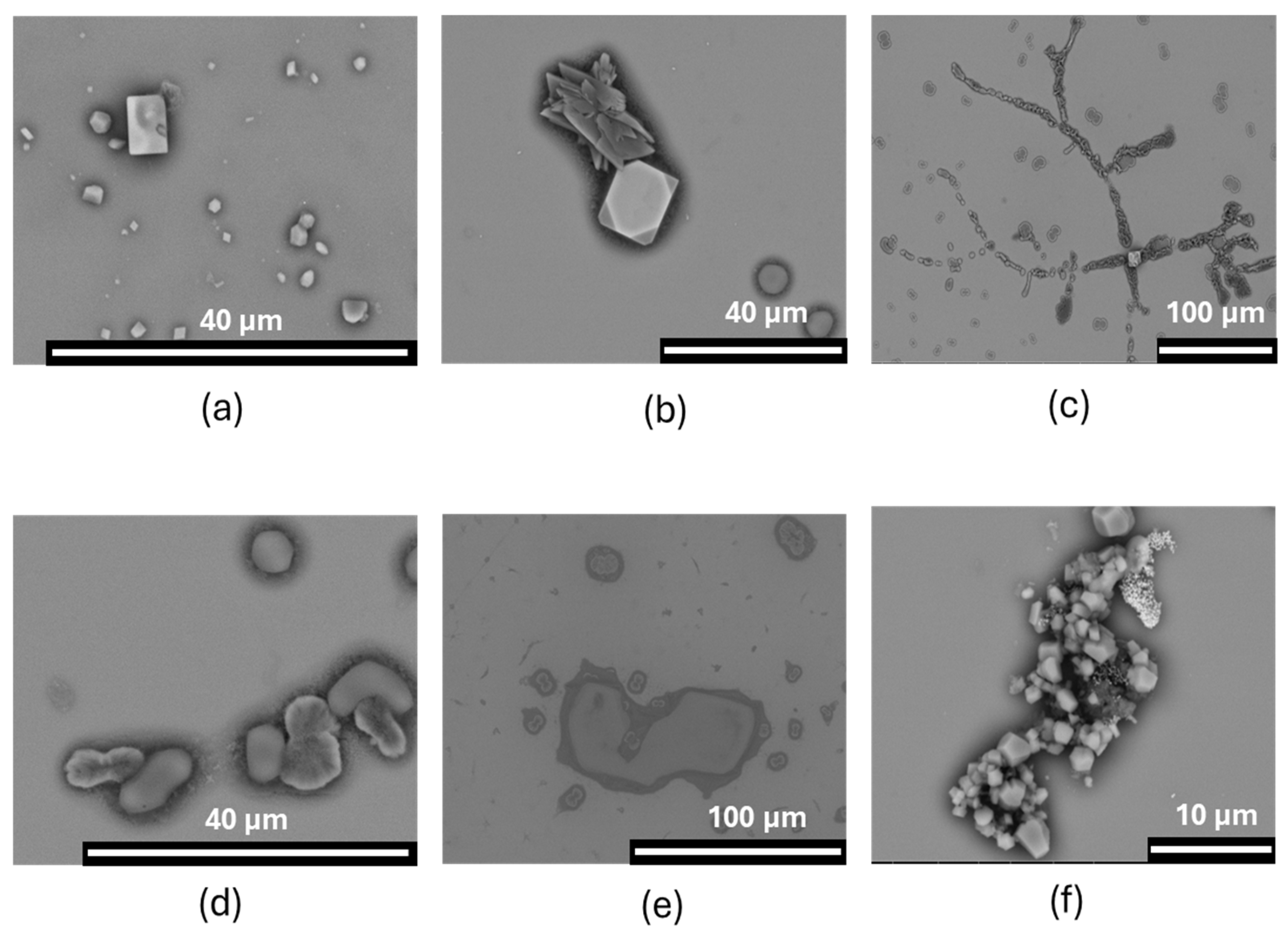 Atmosphere 16 00869 g010