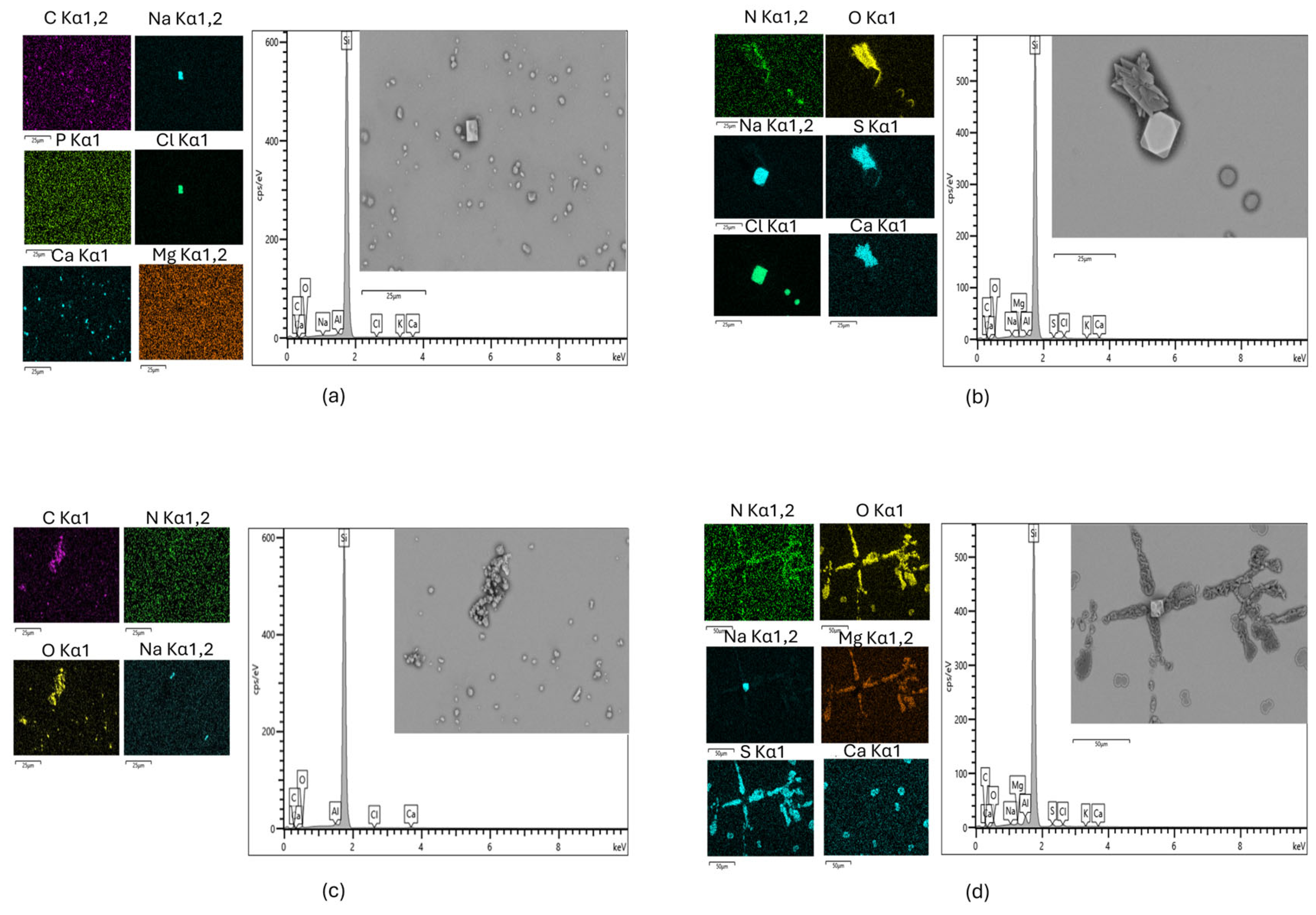 Atmosphere 16 00869 g011