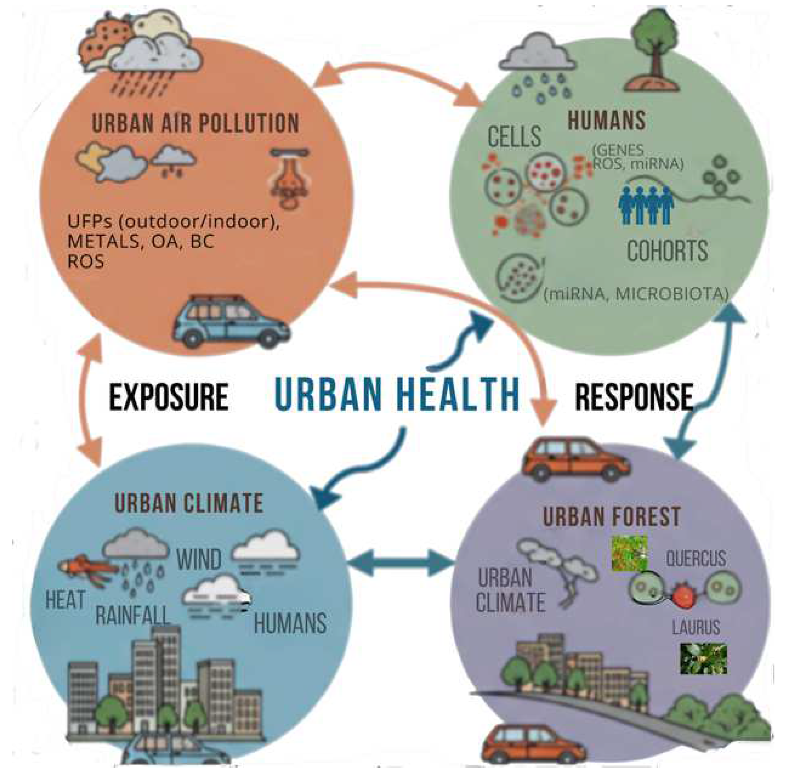 Atmosphere 16 01144 g001