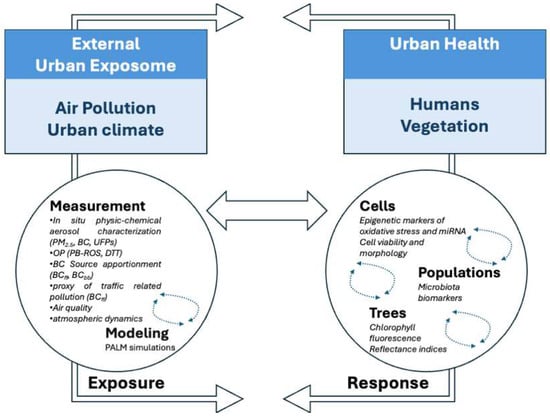 Atmosphere 16 01144 g017